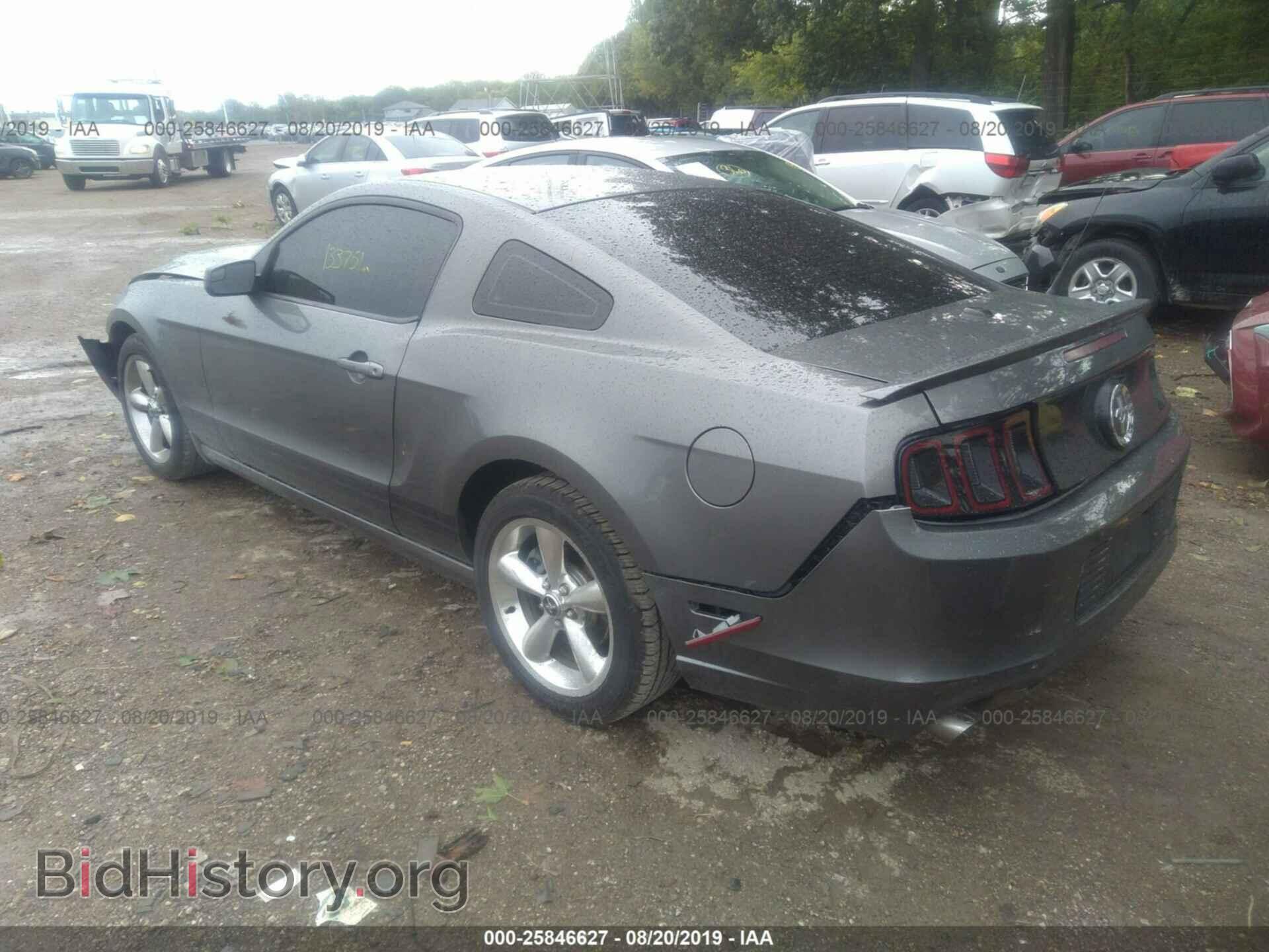 2013 FORD MUSTANG - VIN: 1ZVBP8AM9D5204242 - Фото 3