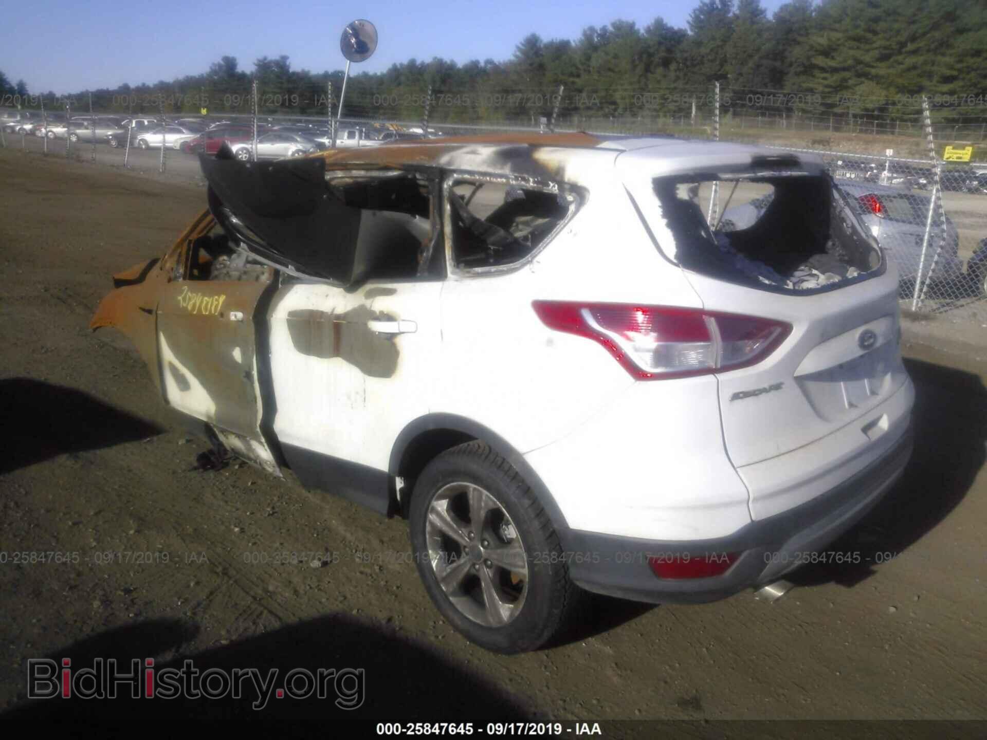 2014 FORD ESCAPE - VIN: 1FMCU0GX1EUC33627 - Фото 3