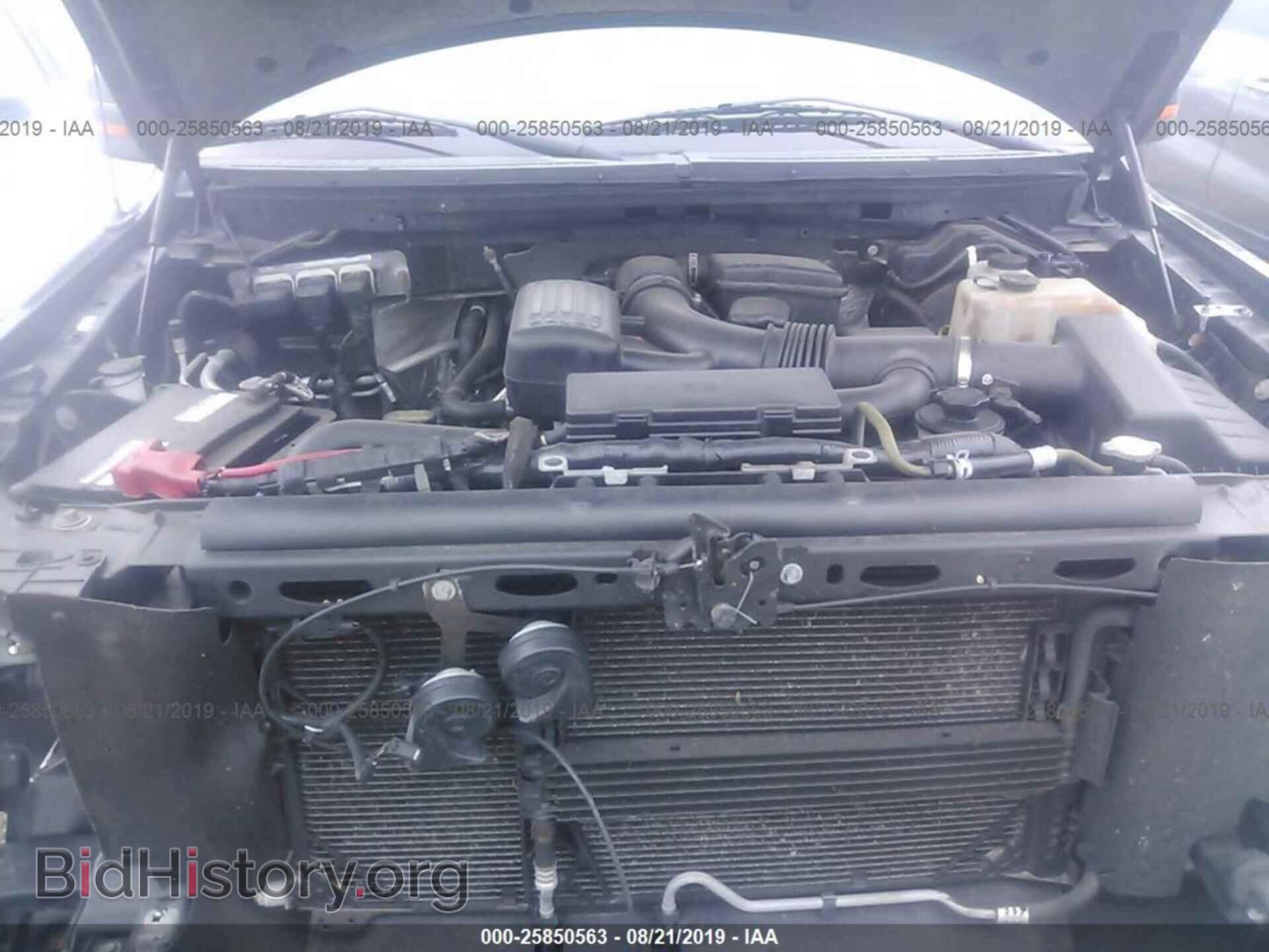 2010 FORD F150 - VIN: 1FTFW1EV3AFD59456 - Фото 10