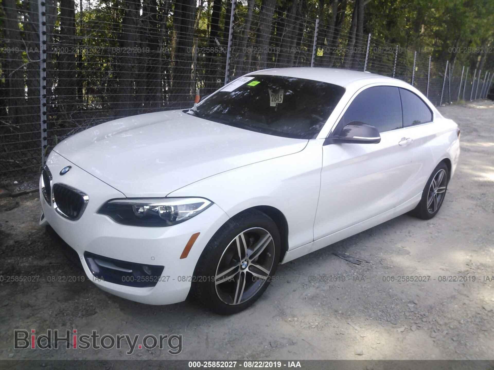 2017 BMW 230I - VIN: WBA2F9C34HV984184 - Фото 2