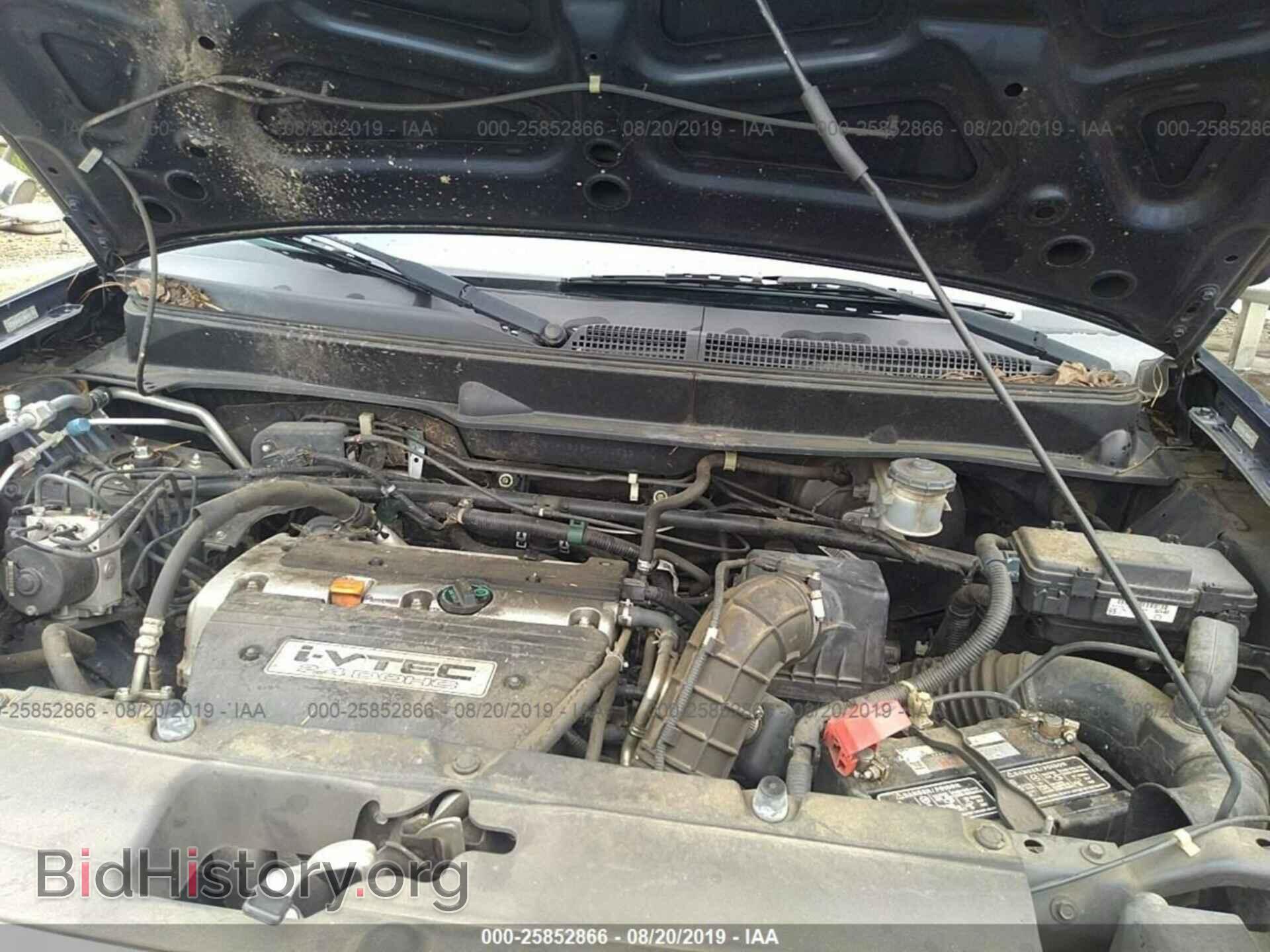 2009 HONDA ELEMENT - VIN: 5J6YH18389L002522 - Фото 10
