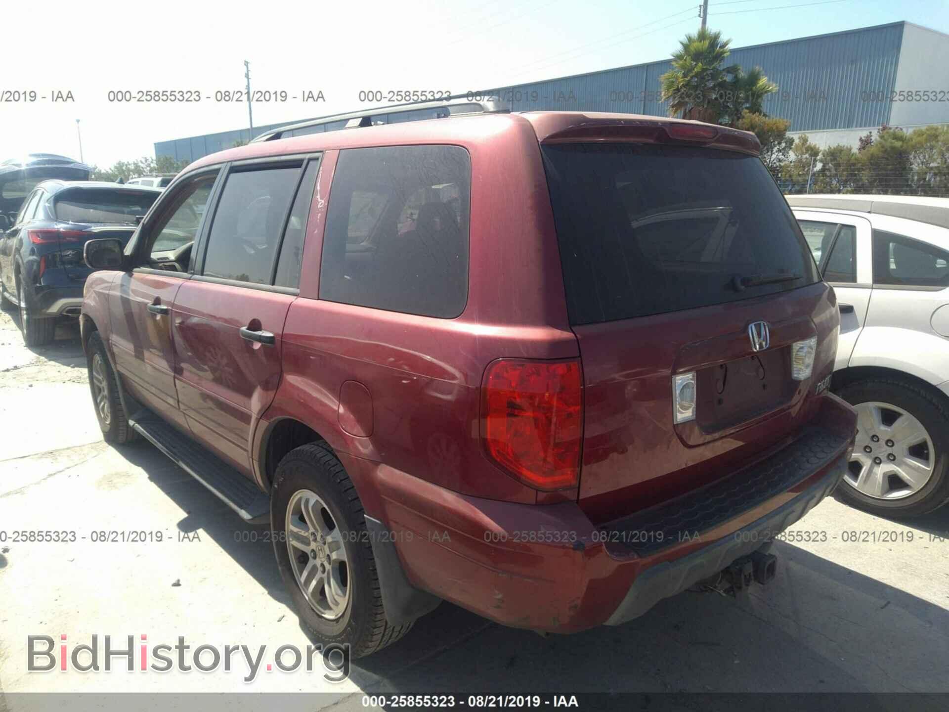 2005 HONDA PILOT - VIN: 2HKYF18565H553351 - Фото 3