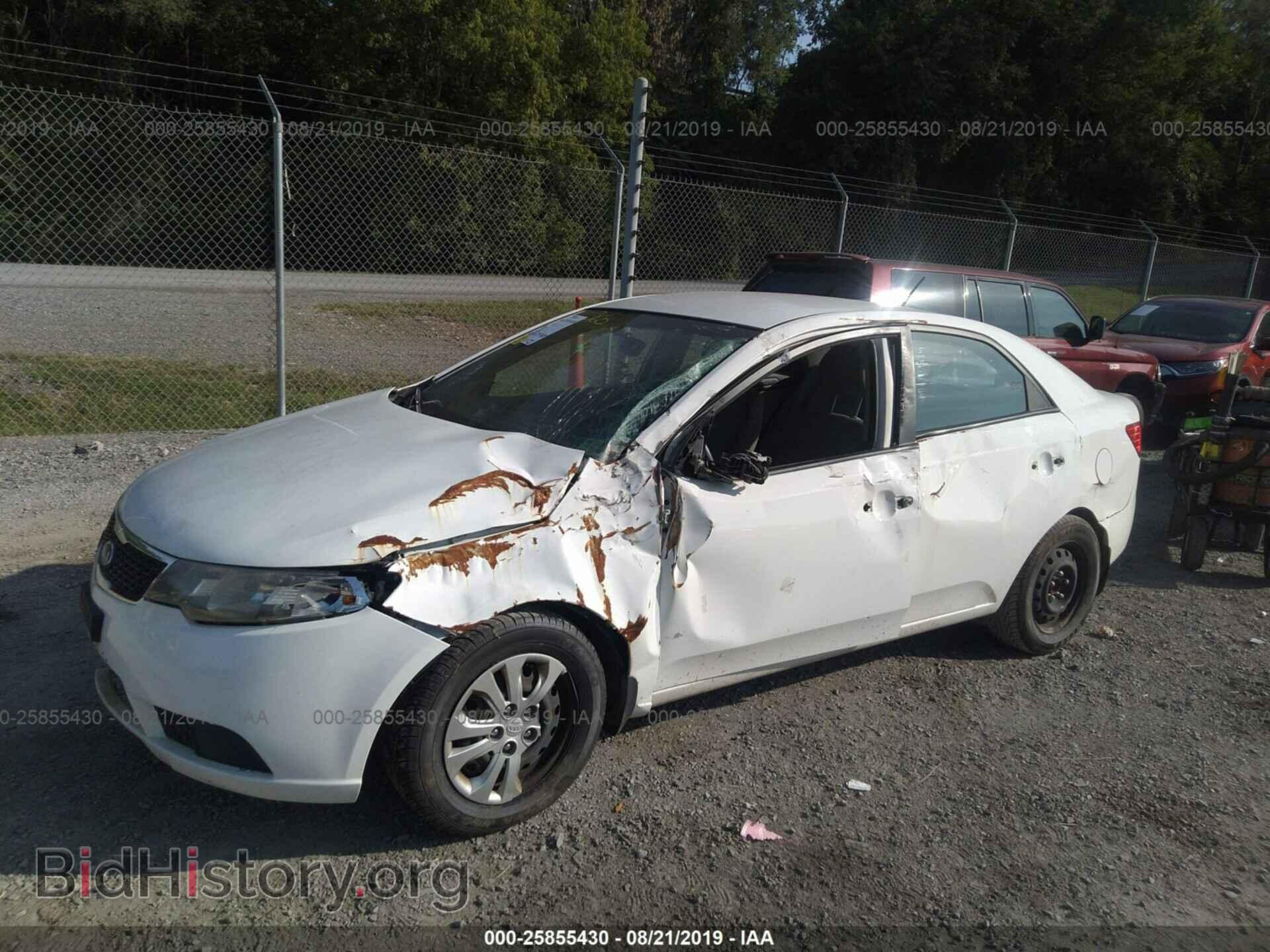 2012 KIA FORTE - VIN: KNAFT4A29C5515284 - Фото 6