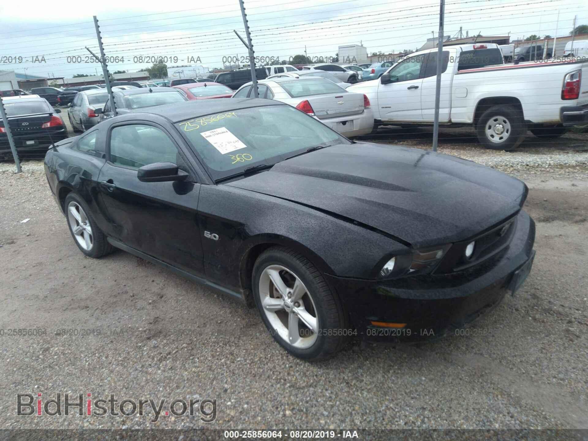 Фотография 1ZVBP8CF5B5152149 - FORD MUSTANG 2011