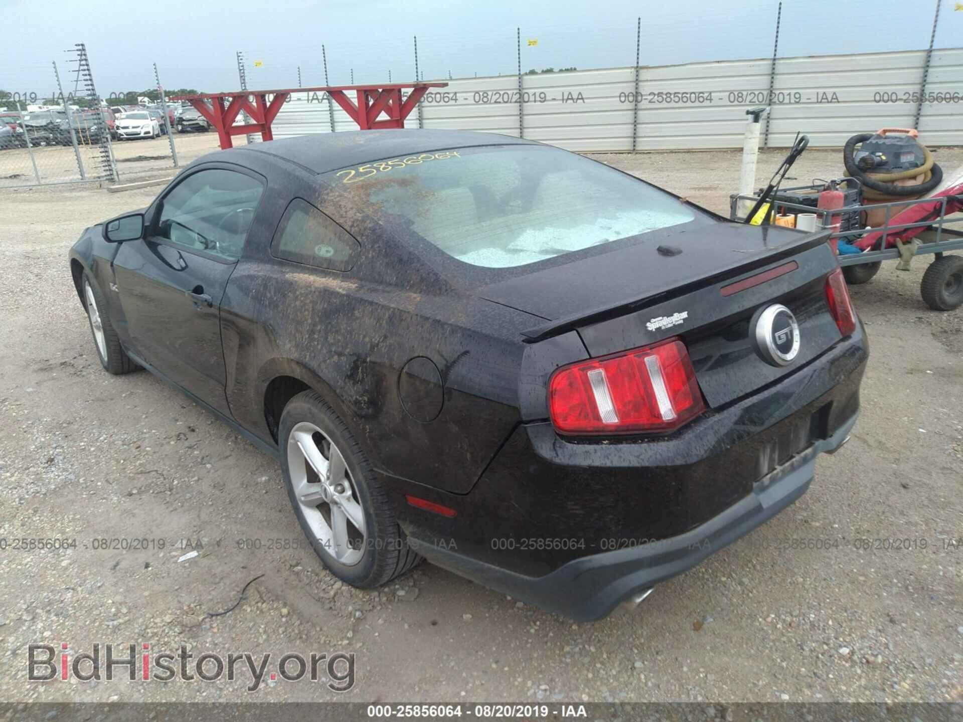 2011 FORD MUSTANG - VIN: 1ZVBP8CF5B5152149 - Фото 3