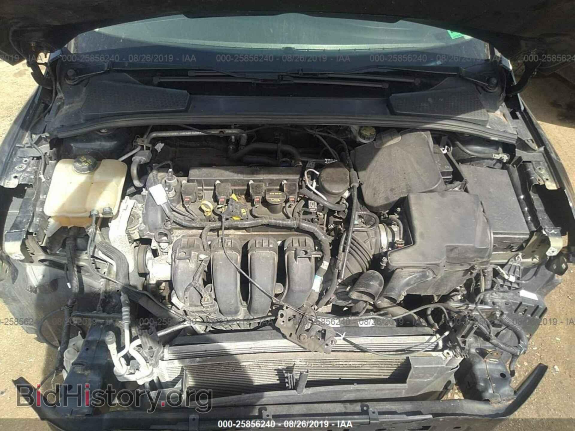 2014 FORD FOCUS - VIN: 1FADP3F20EL244511 - Фото 10