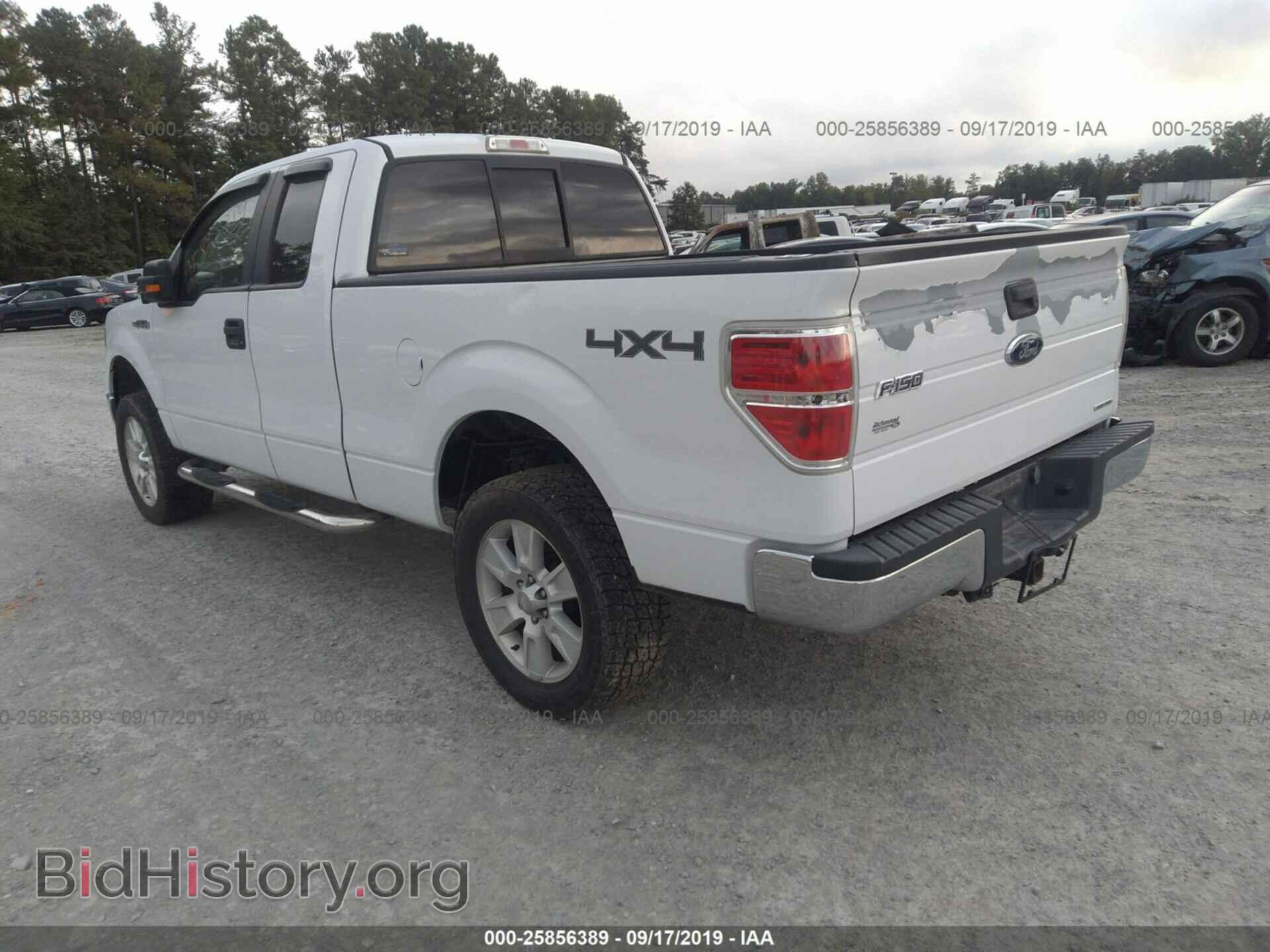 2013 FORD F150 - VIN: 1FTFX1EF5DFB84377 - Фото 3