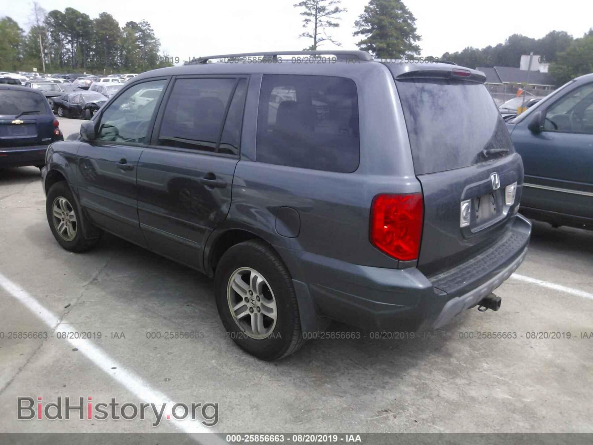 2005 HONDA PILOT - VIN: 5FNYF18425B003389 - Фото 3