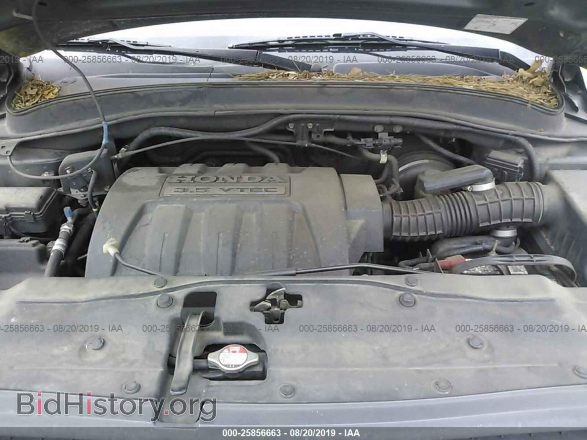 2005 HONDA PILOT - VIN: 5FNYF18425B003389 - Фото 10
