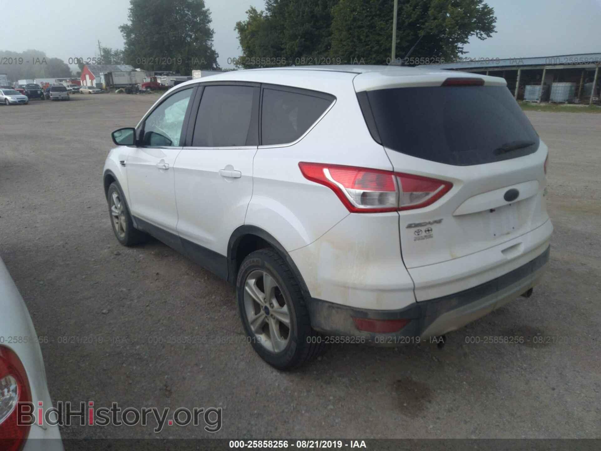 2013 FORD ESCAPE - VIN: 1FMCU9GX3DUD10789 - Фото 3