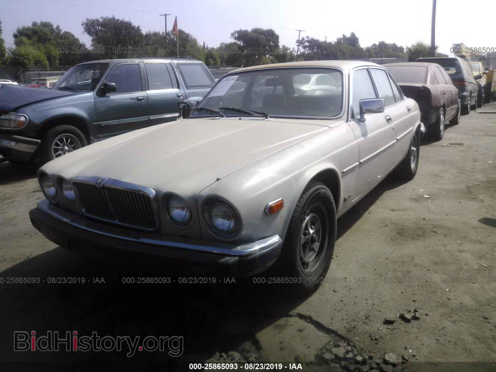 1984 JAGUAR XJ6 - VIN: SAJAV1344EC379697 - Фото 2