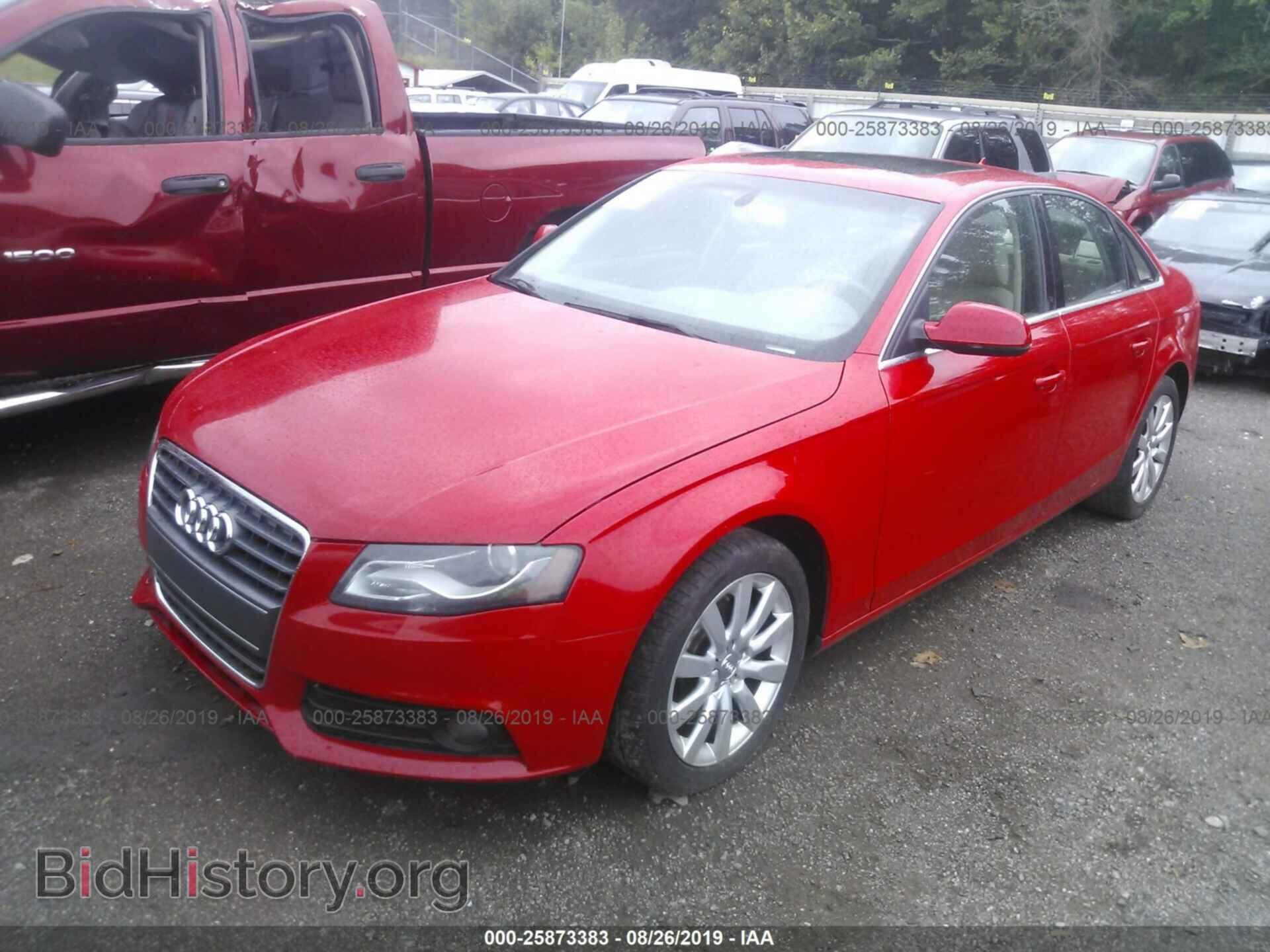 2010 AUDI A4 - VIN: WAUEFAFL7AN026110 - Фото 2