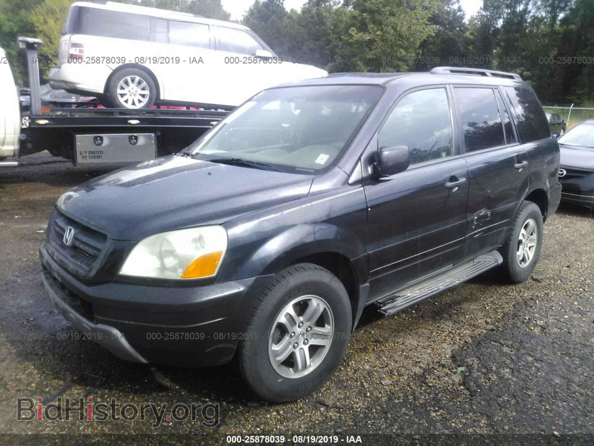 2005 HONDA PILOT - VIN: 5FNYF18575B043105 - Фото 2