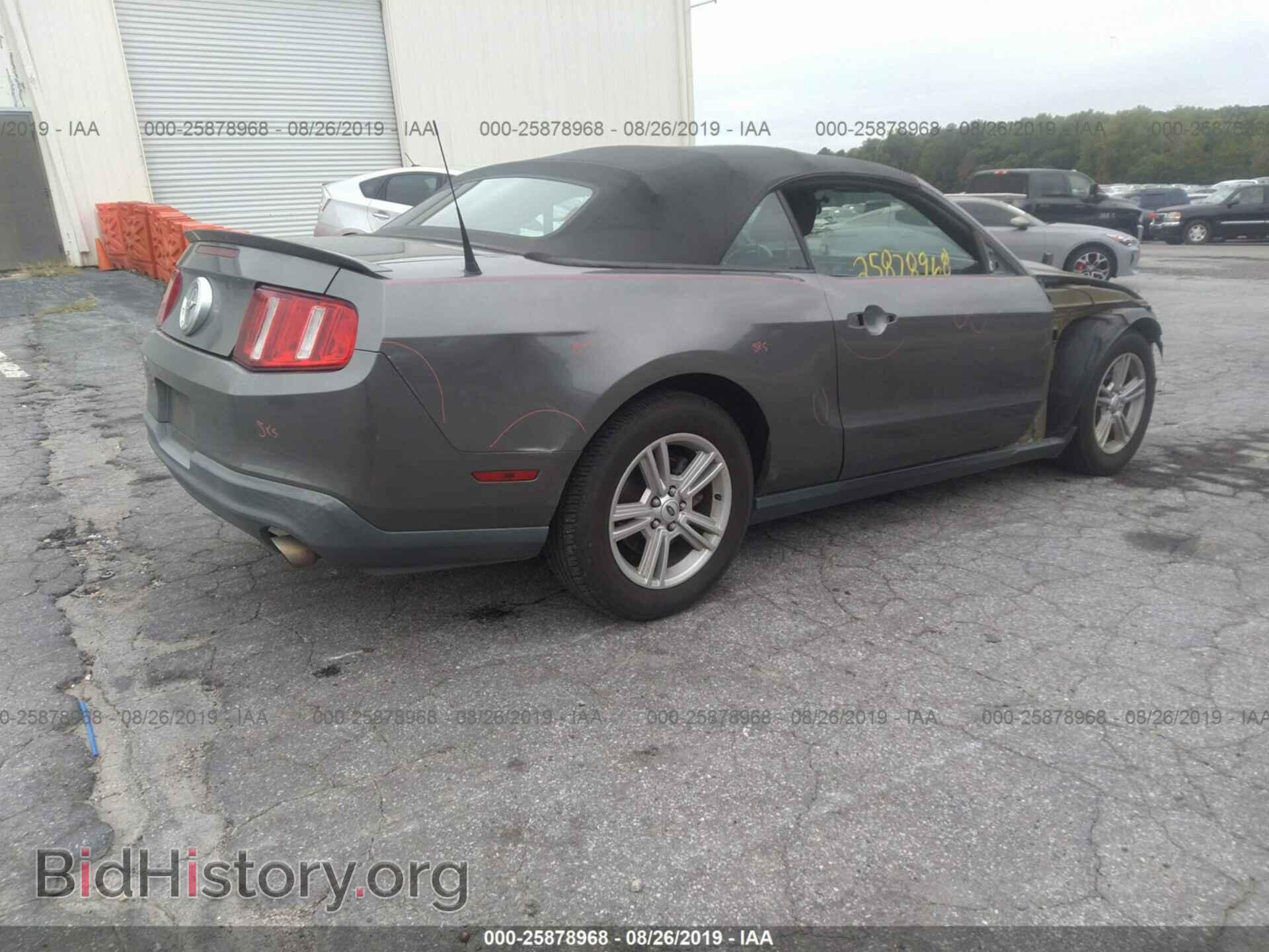 2011 FORD MUSTANG - VIN: 1ZVBP8EM8B5161584 - Фото 4
