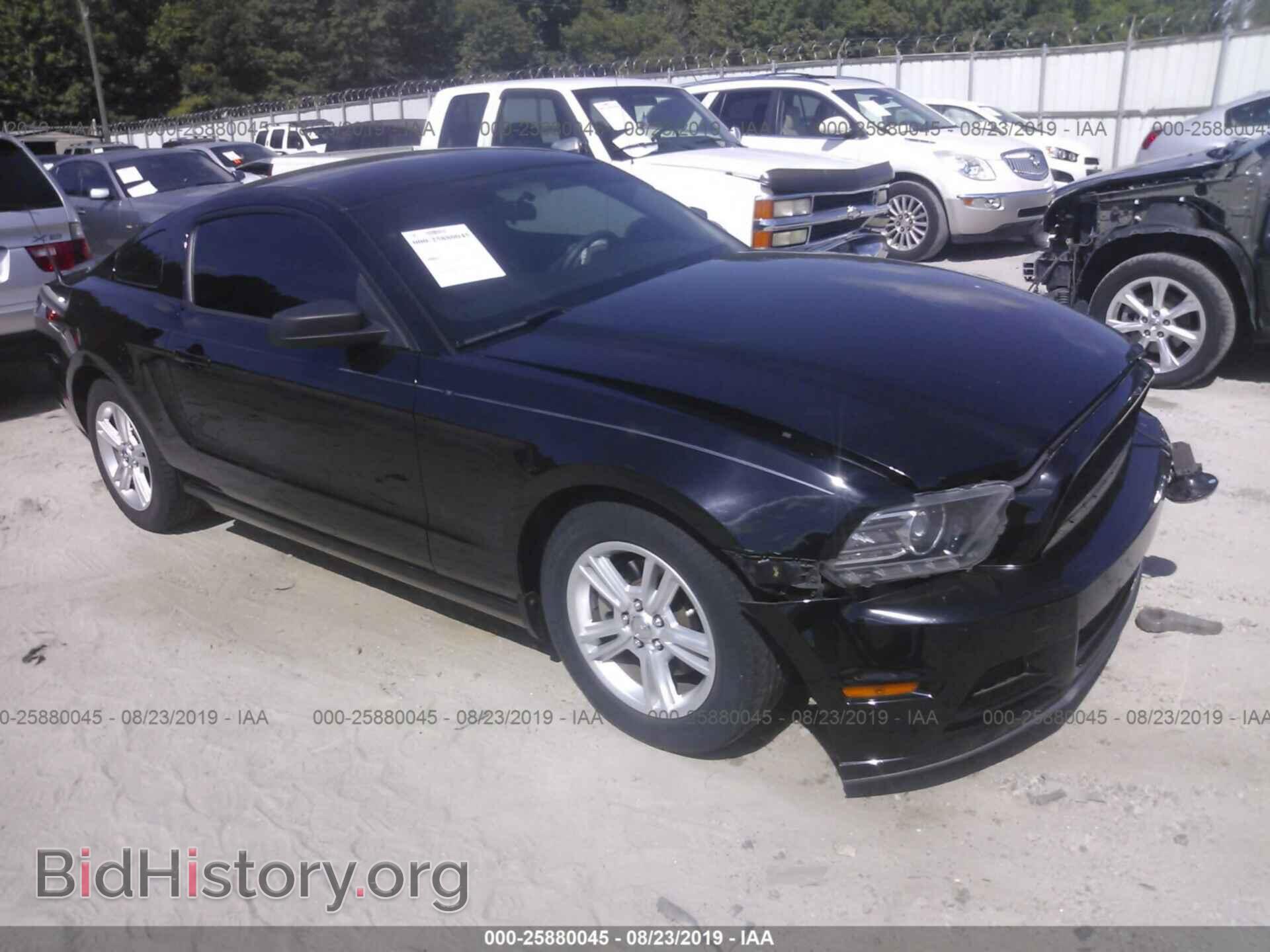Фотография 1ZVBP8AM1D5248364 - FORD MUSTANG 2013