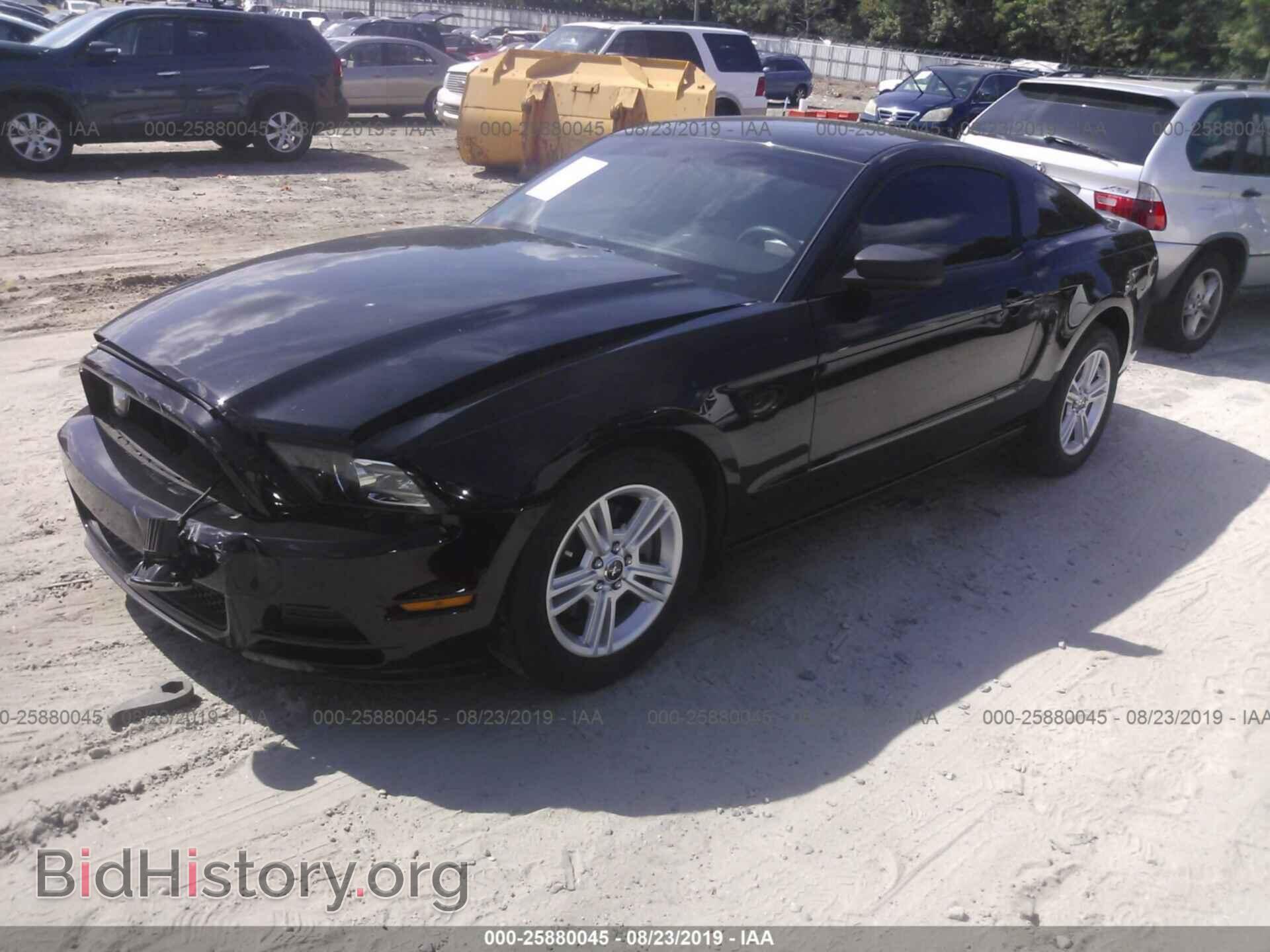 2013 FORD MUSTANG - VIN: 1ZVBP8AM1D5248364 - Фото 2