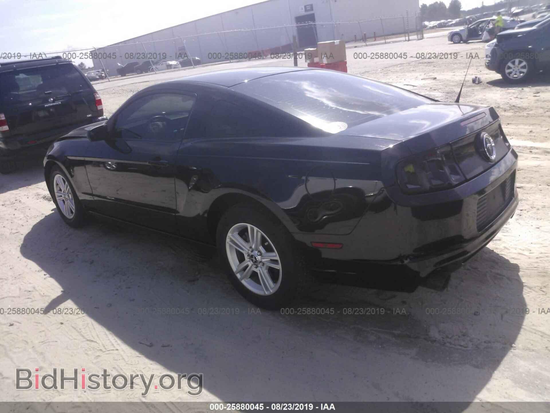 2013 FORD MUSTANG - VIN: 1ZVBP8AM1D5248364 - Фото 3