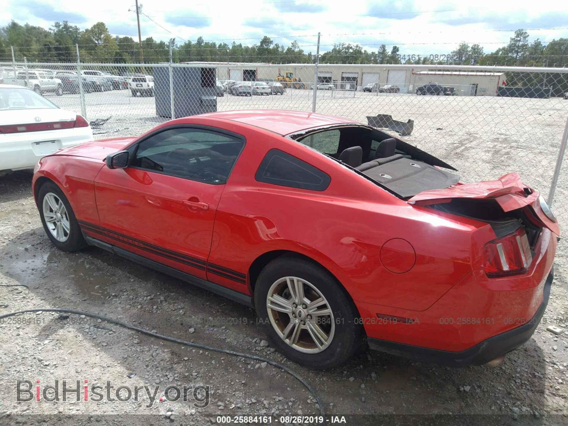 2012 FORD MUSTANG - VIN: 1ZVBP8AM0C5238309 - Фото 3