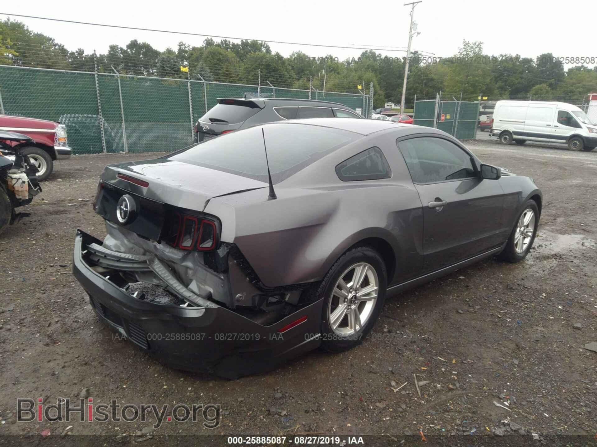 2014 FORD MUSTANG - VIN: 1ZVBP8AM8E5315754 - Фото 4