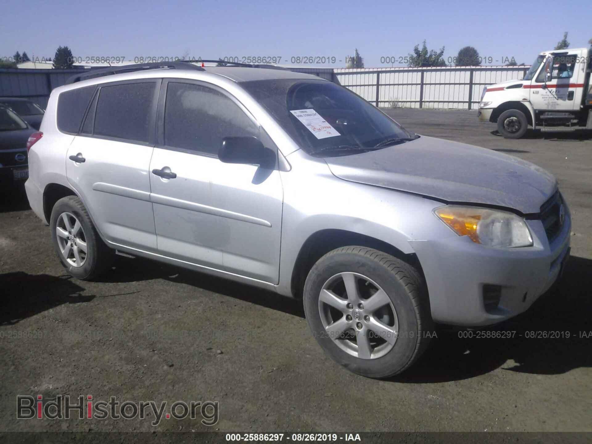 Фотография 2T3BF4DV0BW104474 - TOYOTA RAV4 2011