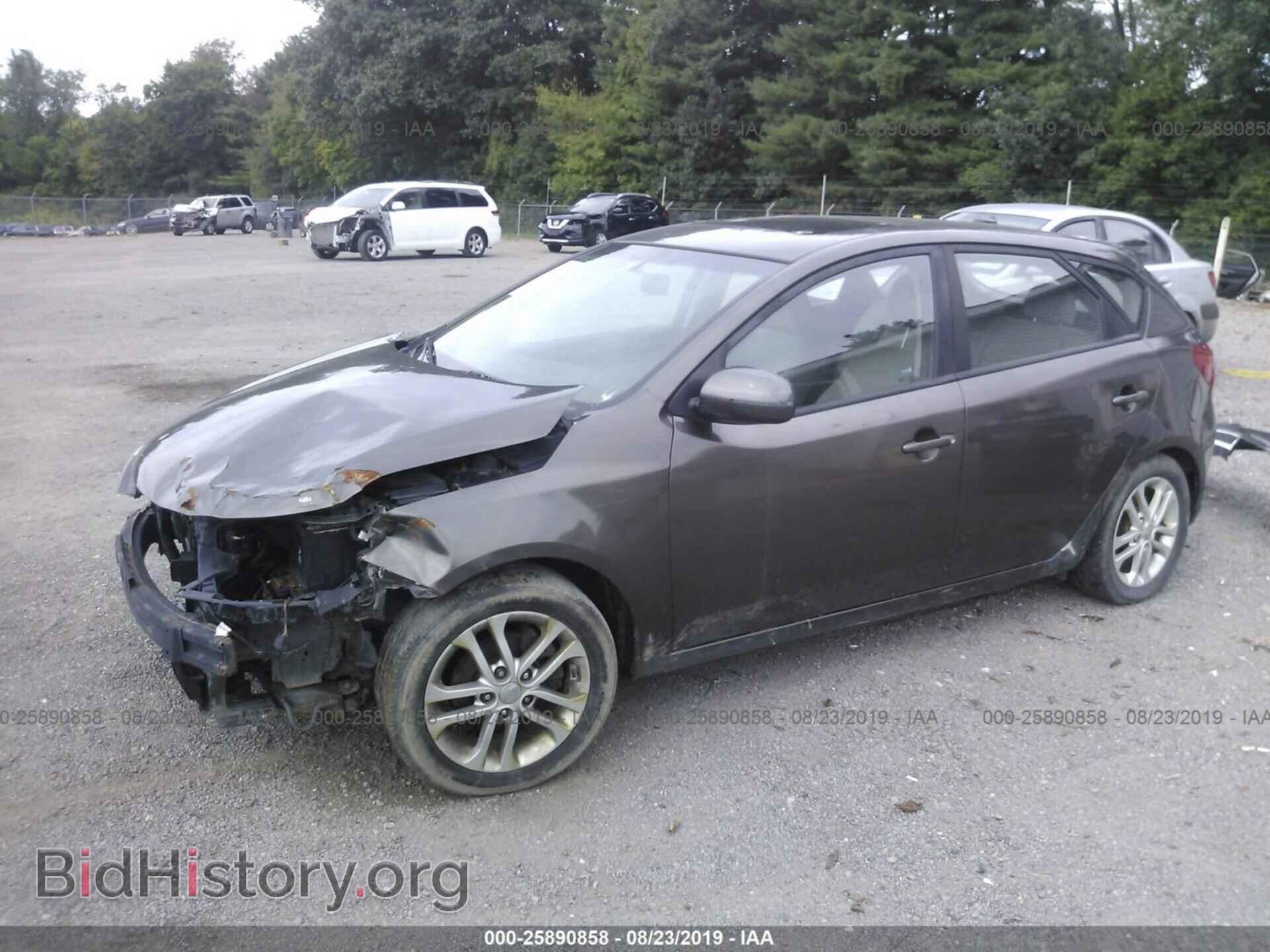 2011 KIA FORTE - VIN: KNAFU5A22B5413522 - Фото 2