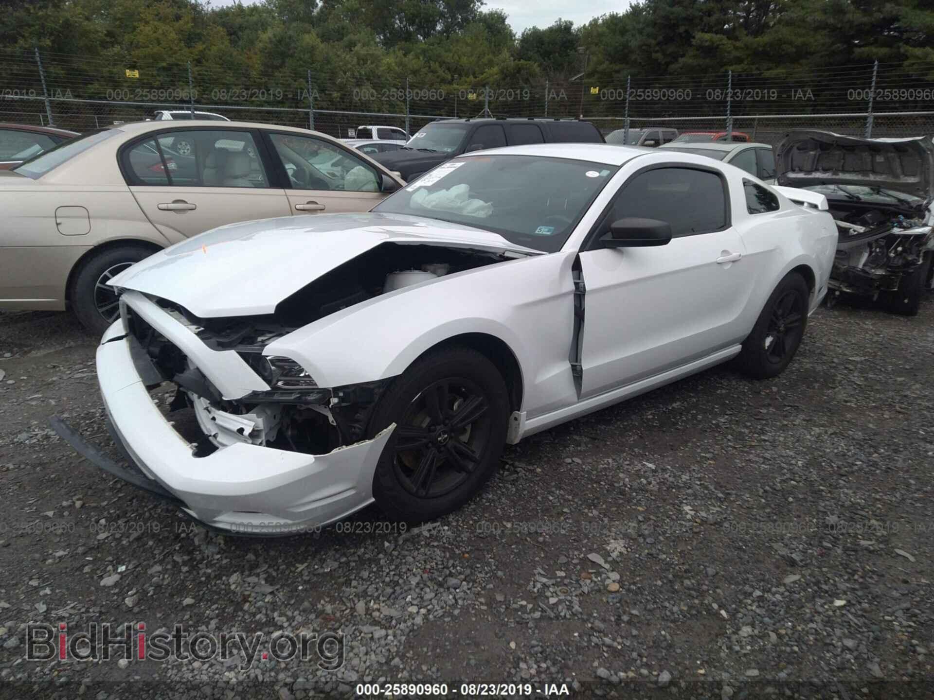 2014 FORD MUSTANG - VIN: 1ZVBP8AM2E5306158 - Фото 2