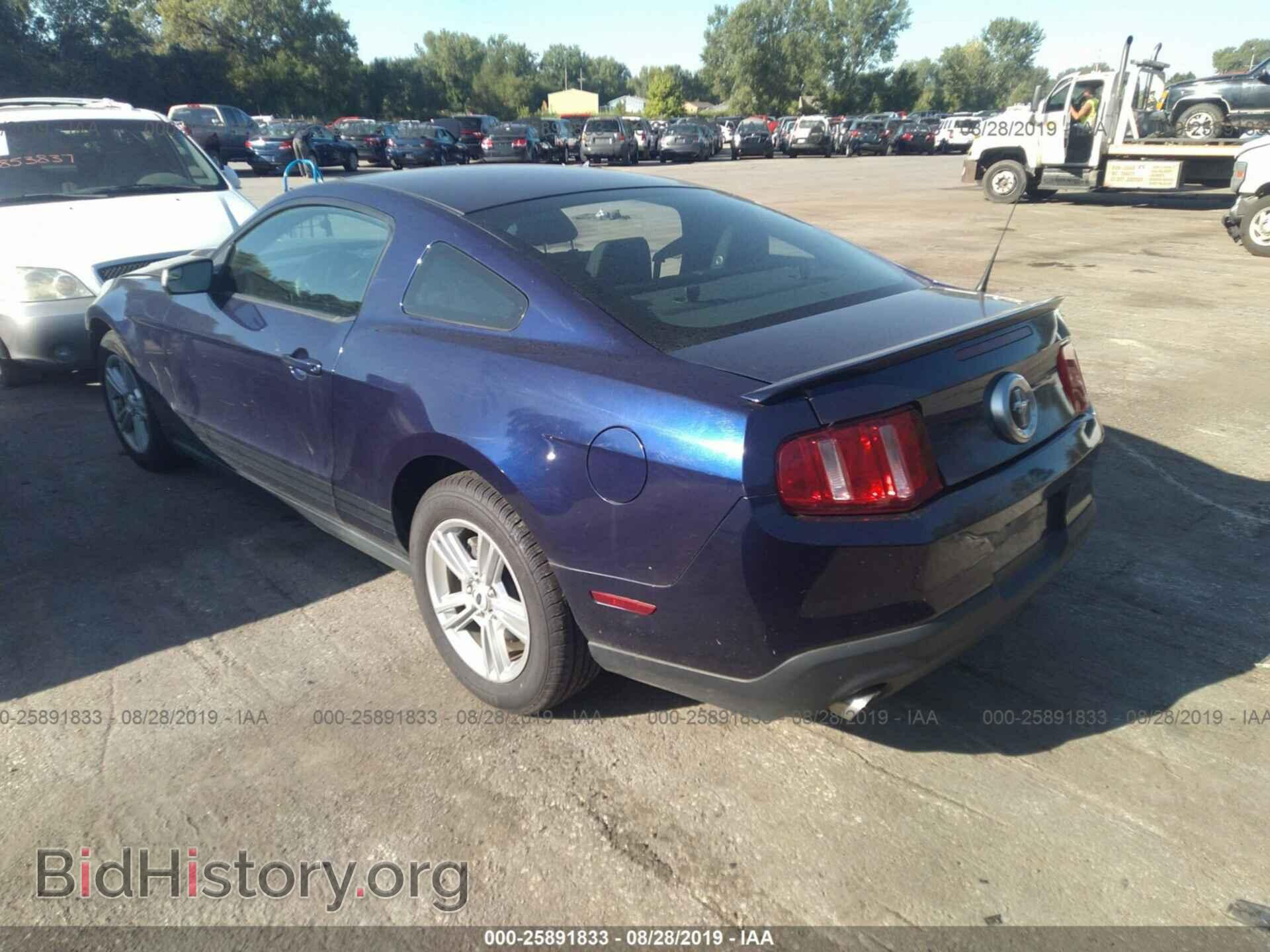 2011 FORD MUSTANG - VIN: 1ZVBP8AM8B5133998 - Фото 3