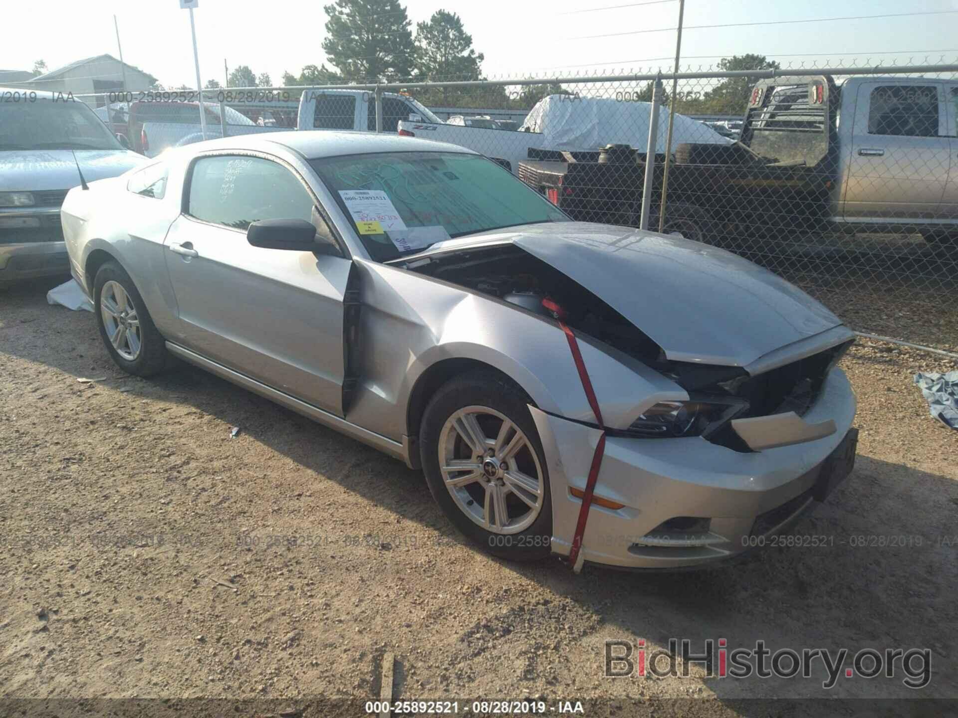Photo 1ZVBP8AM0D5262174 - FORD MUSTANG 2013