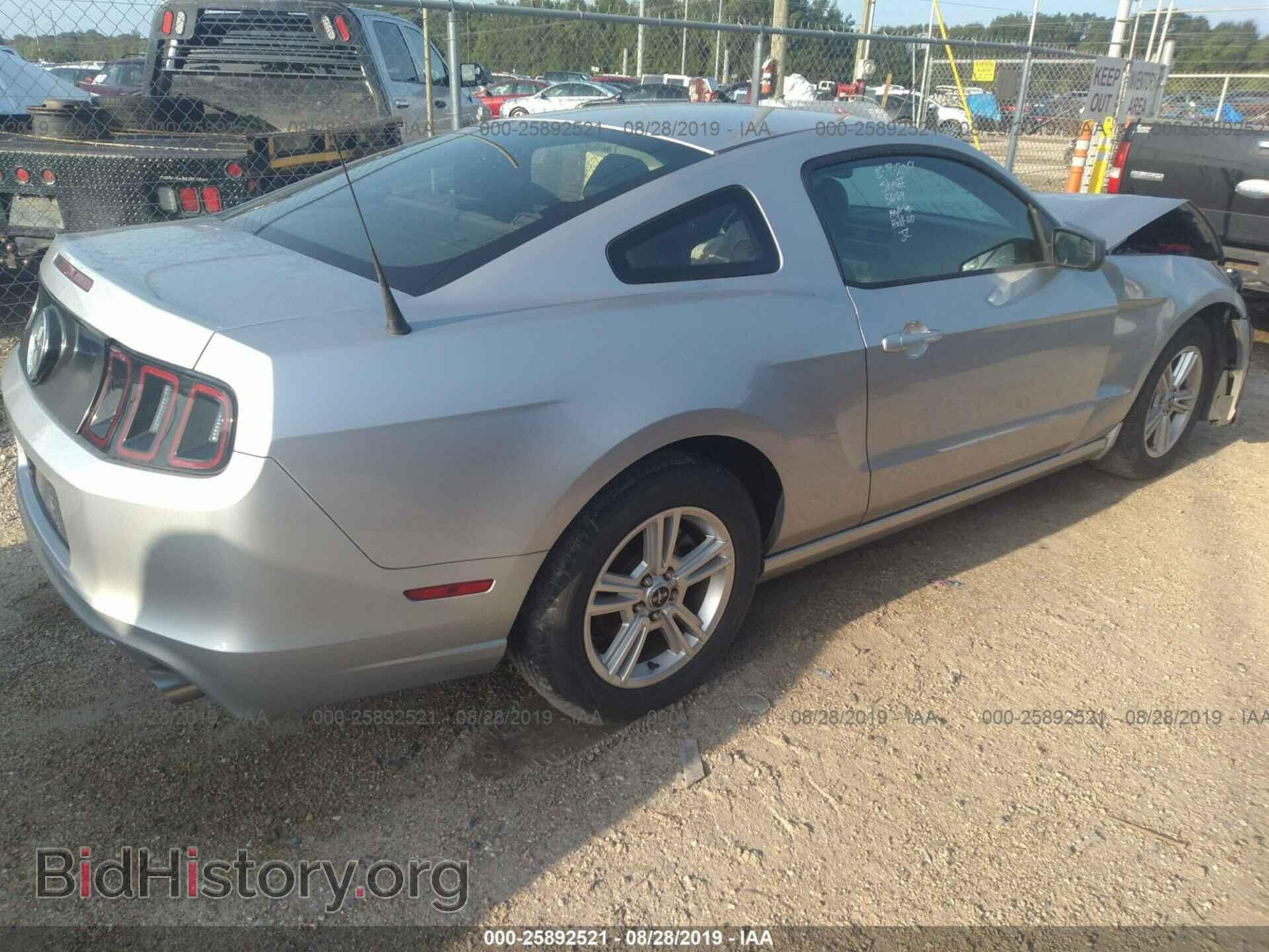 2013 FORD MUSTANG - VIN: 1ZVBP8AM0D5262174 - Фото 4