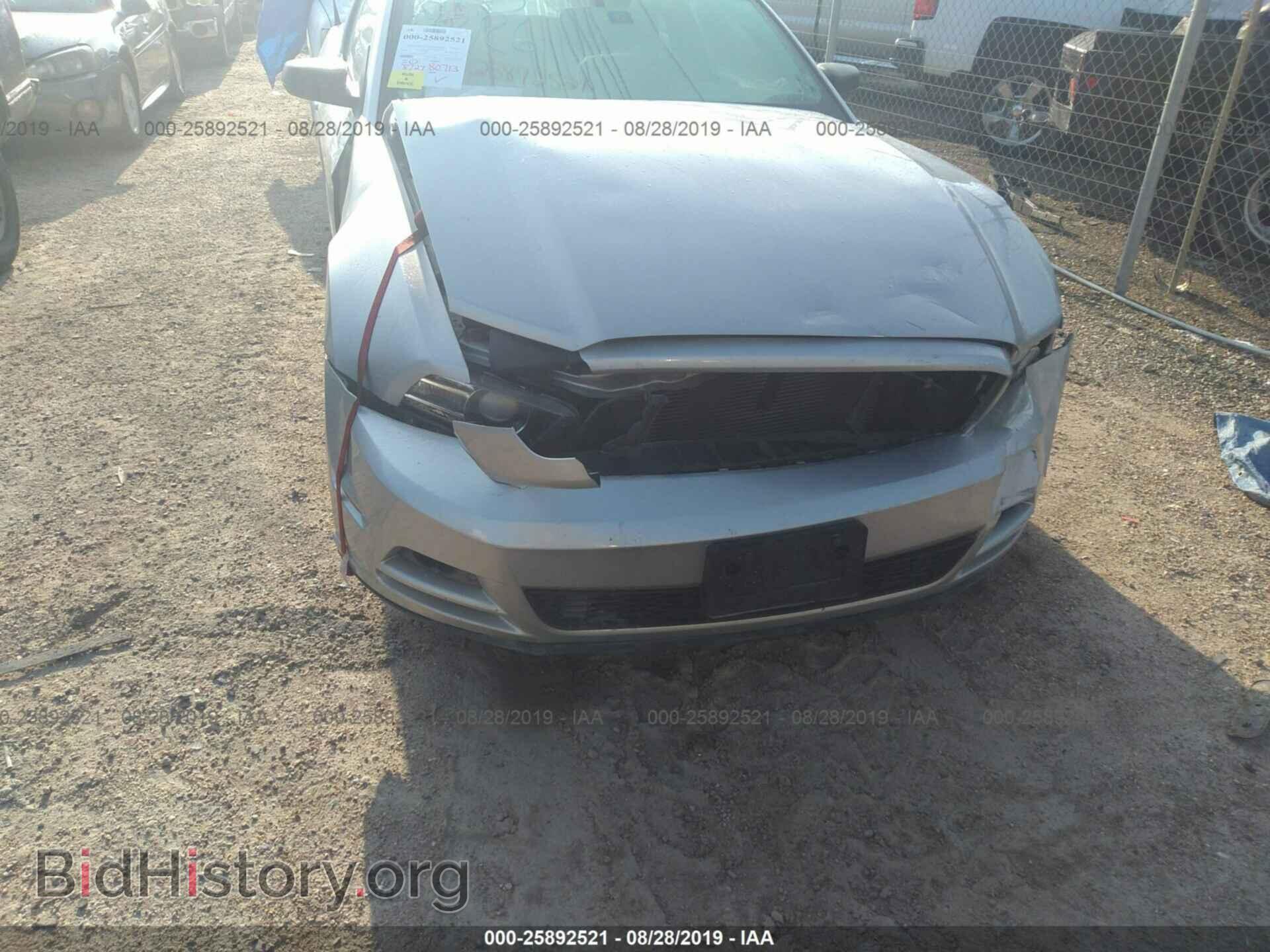 2013 FORD MUSTANG - VIN: 1ZVBP8AM0D5262174 - Фото 6