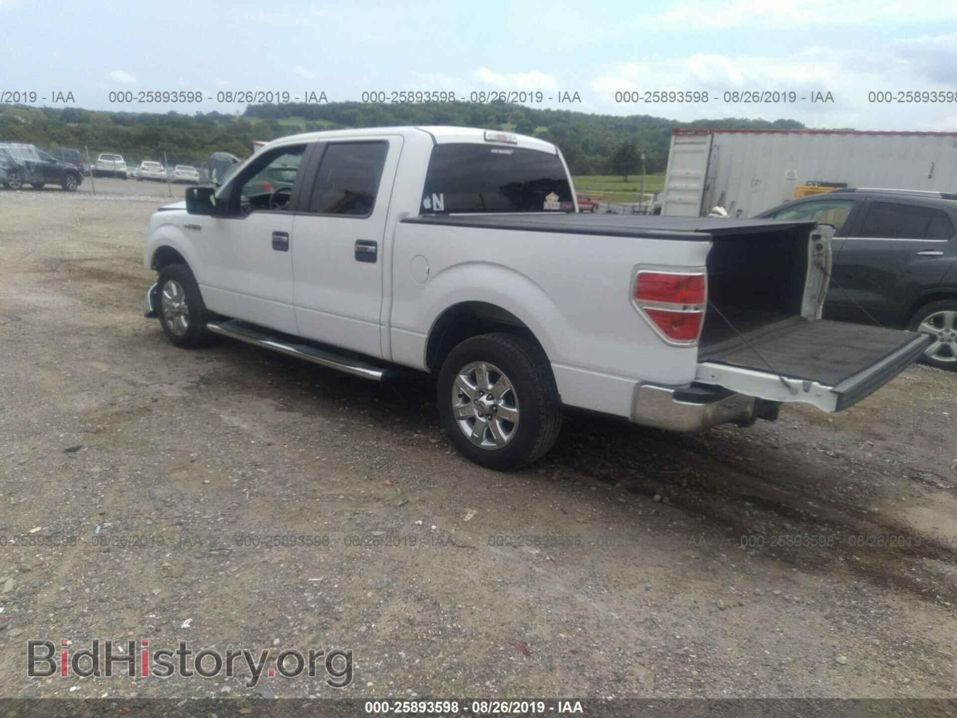2013 FORD F150 - VIN: 1FTFW1CF5DFA89694 - Фото 3
