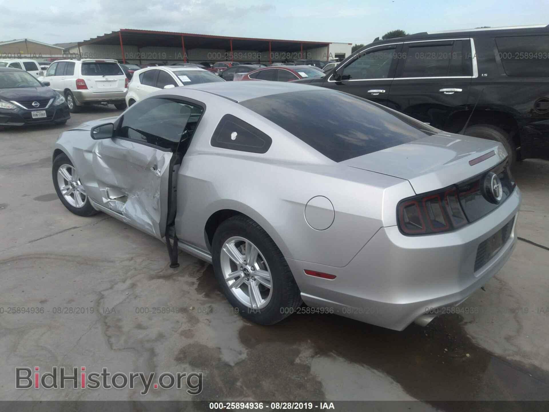 2014 FORD MUSTANG - VIN: 1ZVBP8AM9E5228719 - Фото 3