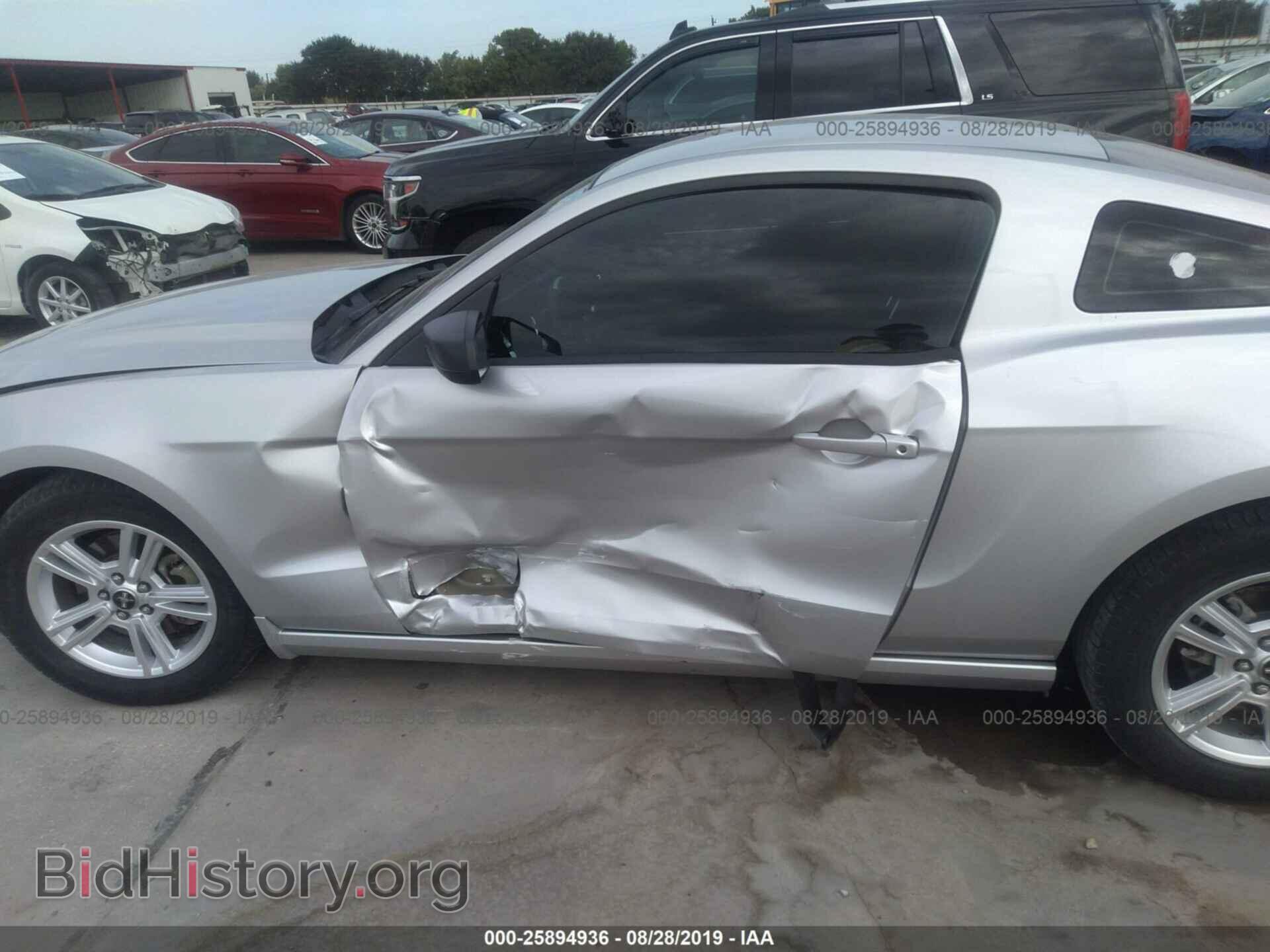 2014 FORD MUSTANG - VIN: 1ZVBP8AM9E5228719 - Фото 6