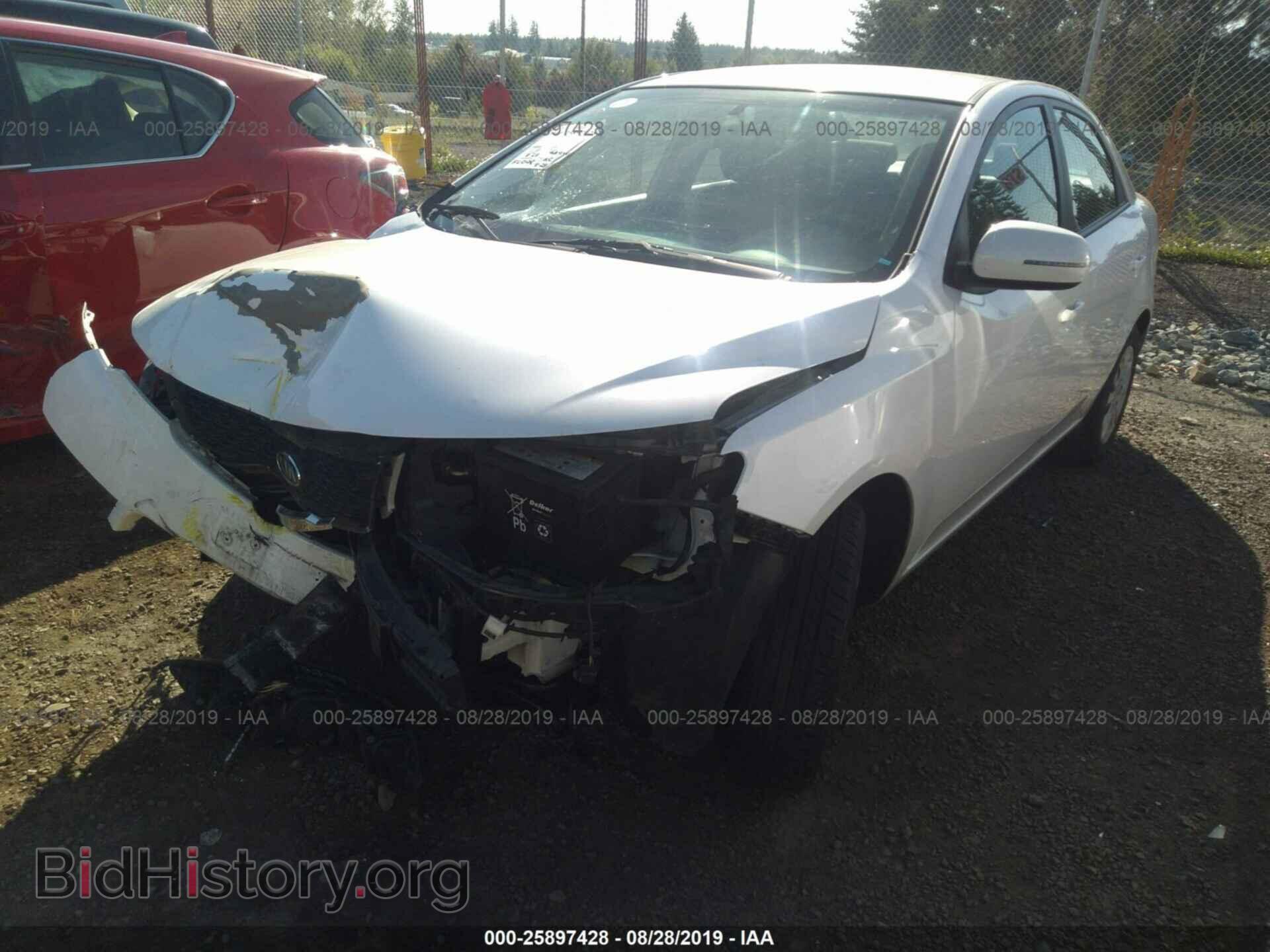 2012 KIA FORTE - VIN: KNAFU4A2XC5488206 - Фото 2