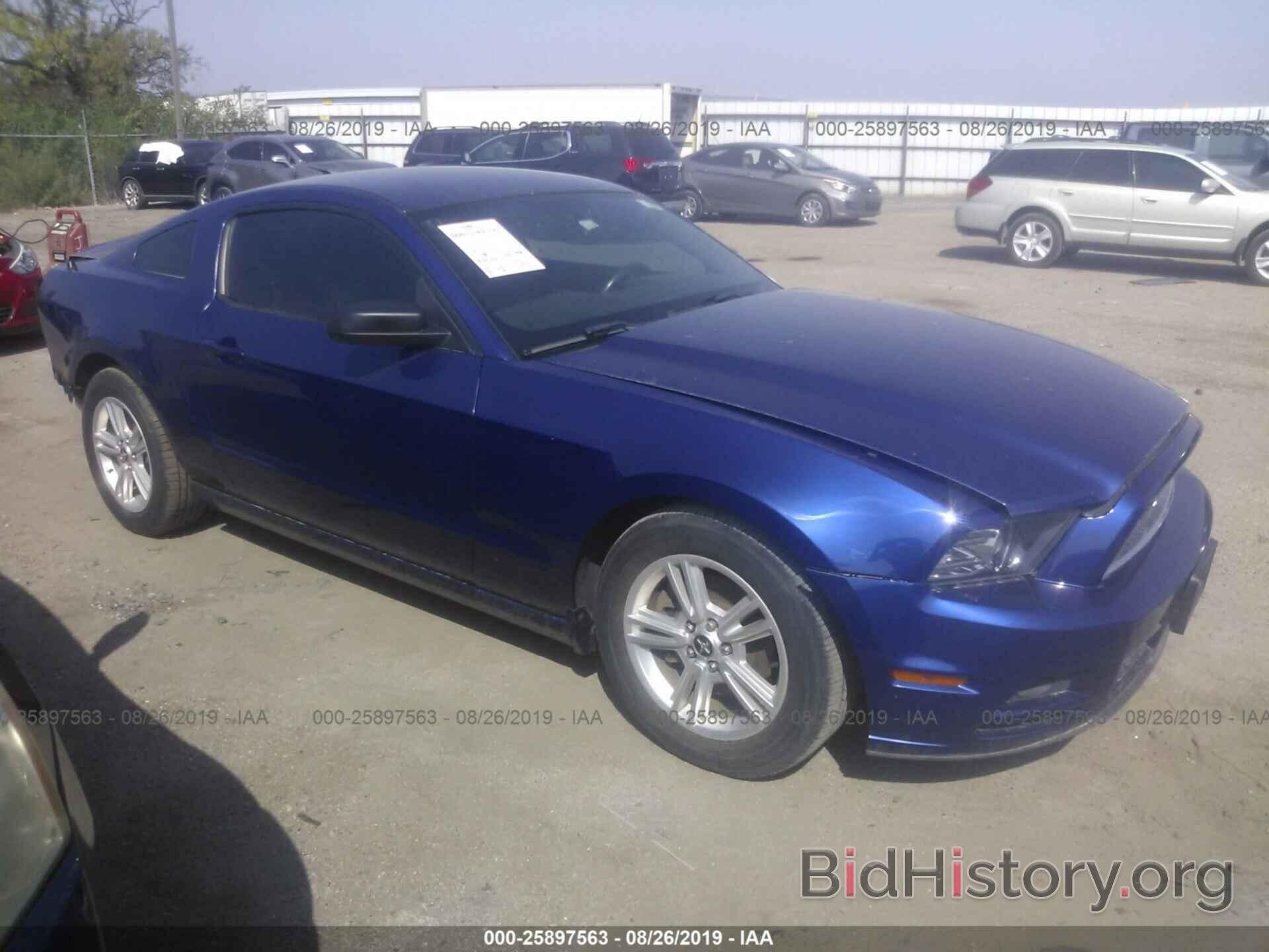 Photo 1ZVBP8AM9D5232008 - FORD MUSTANG 2013