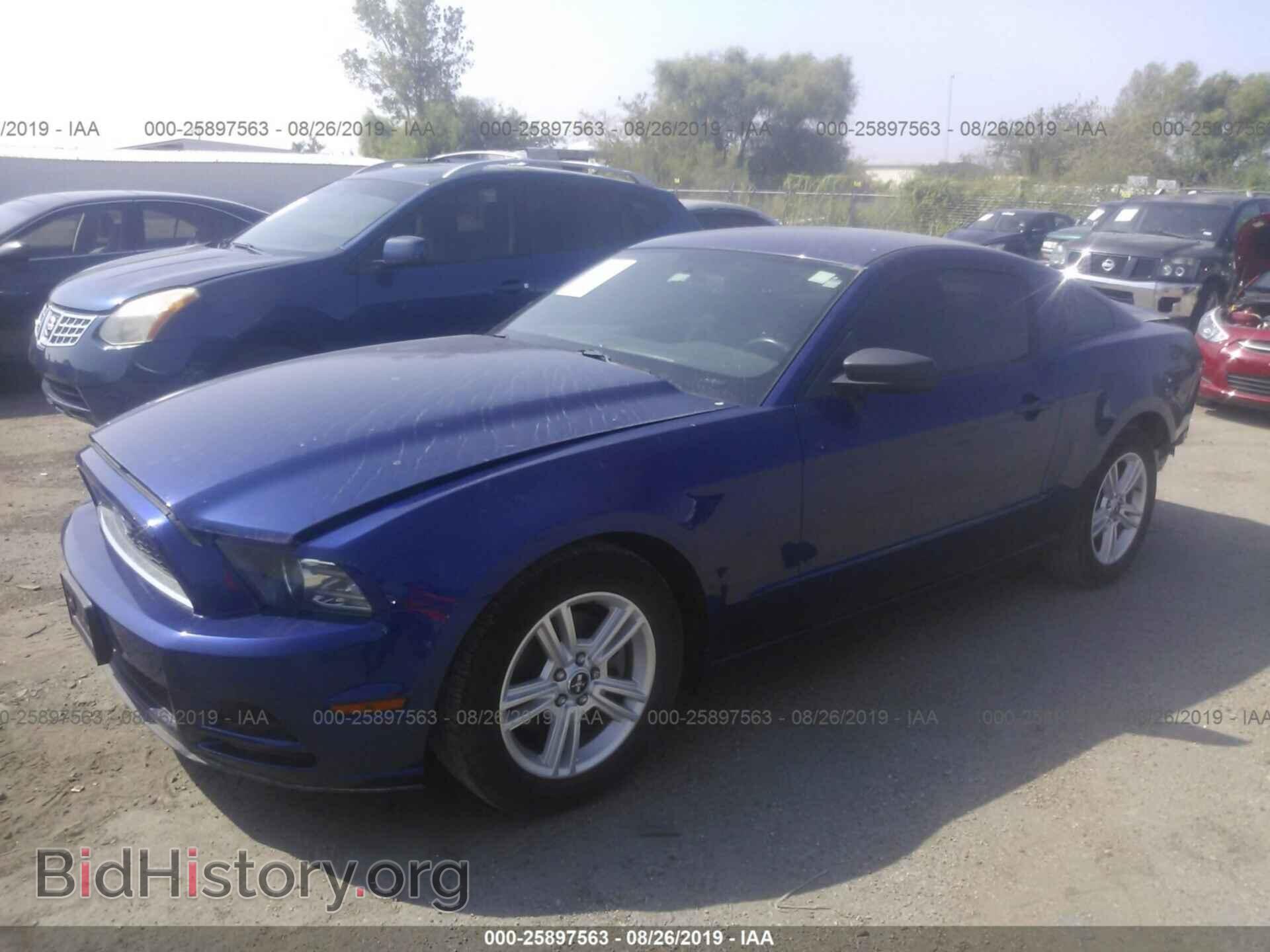 2013 FORD MUSTANG - VIN: 1ZVBP8AM9D5232008 - Фото 2