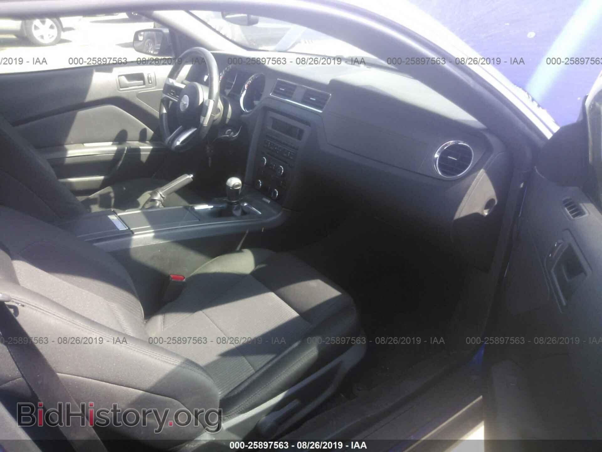 2013 FORD MUSTANG - VIN: 1ZVBP8AM9D5232008 - Фото 5