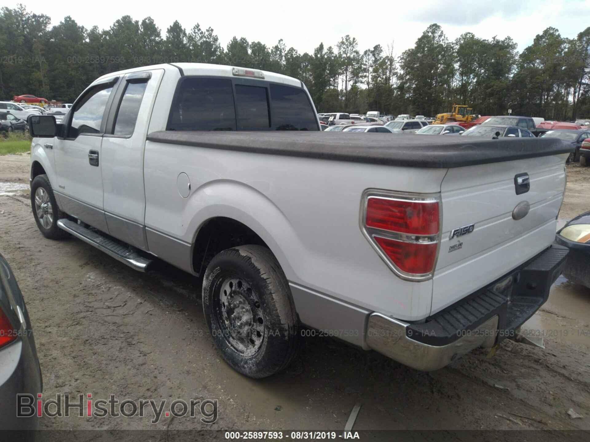 2011 FORD F150 - VIN: 1FTFX1CT7BFC86026 - Фото 3
