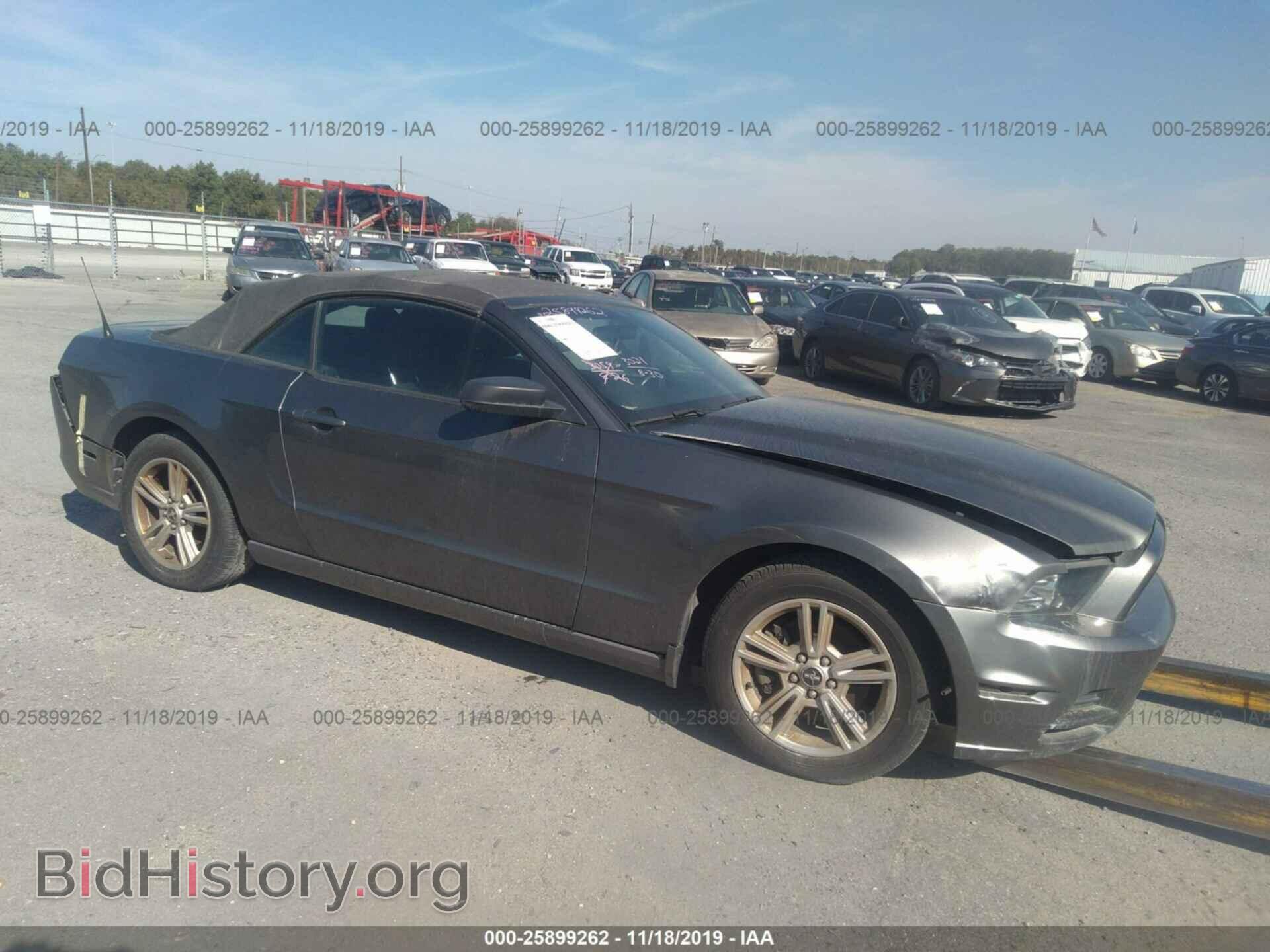Фотография 1ZVBP8EMXE5232143 - FORD MUSTANG 2014