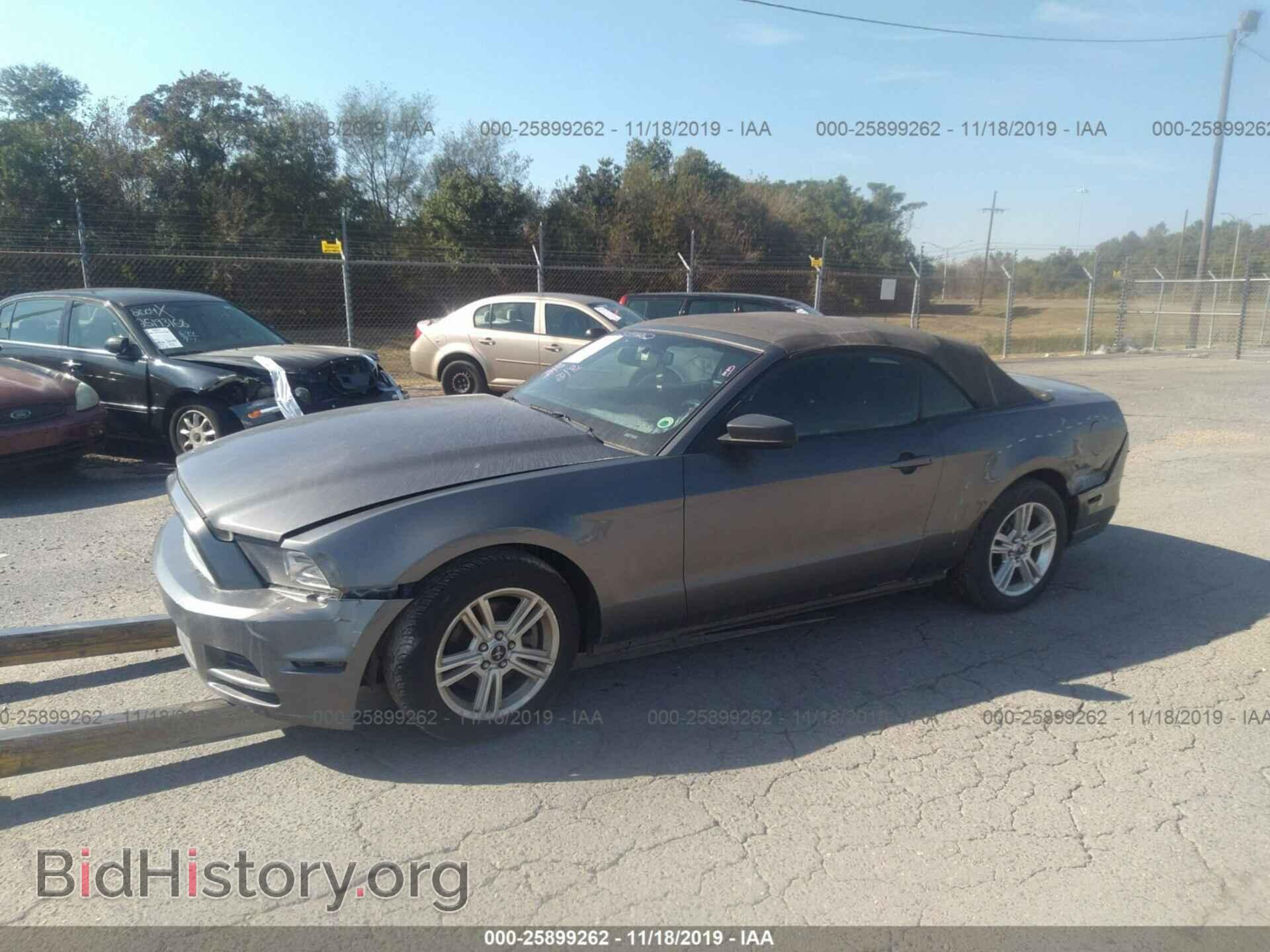 2014 FORD MUSTANG - VIN: 1ZVBP8EMXE5232143 - Фото 2