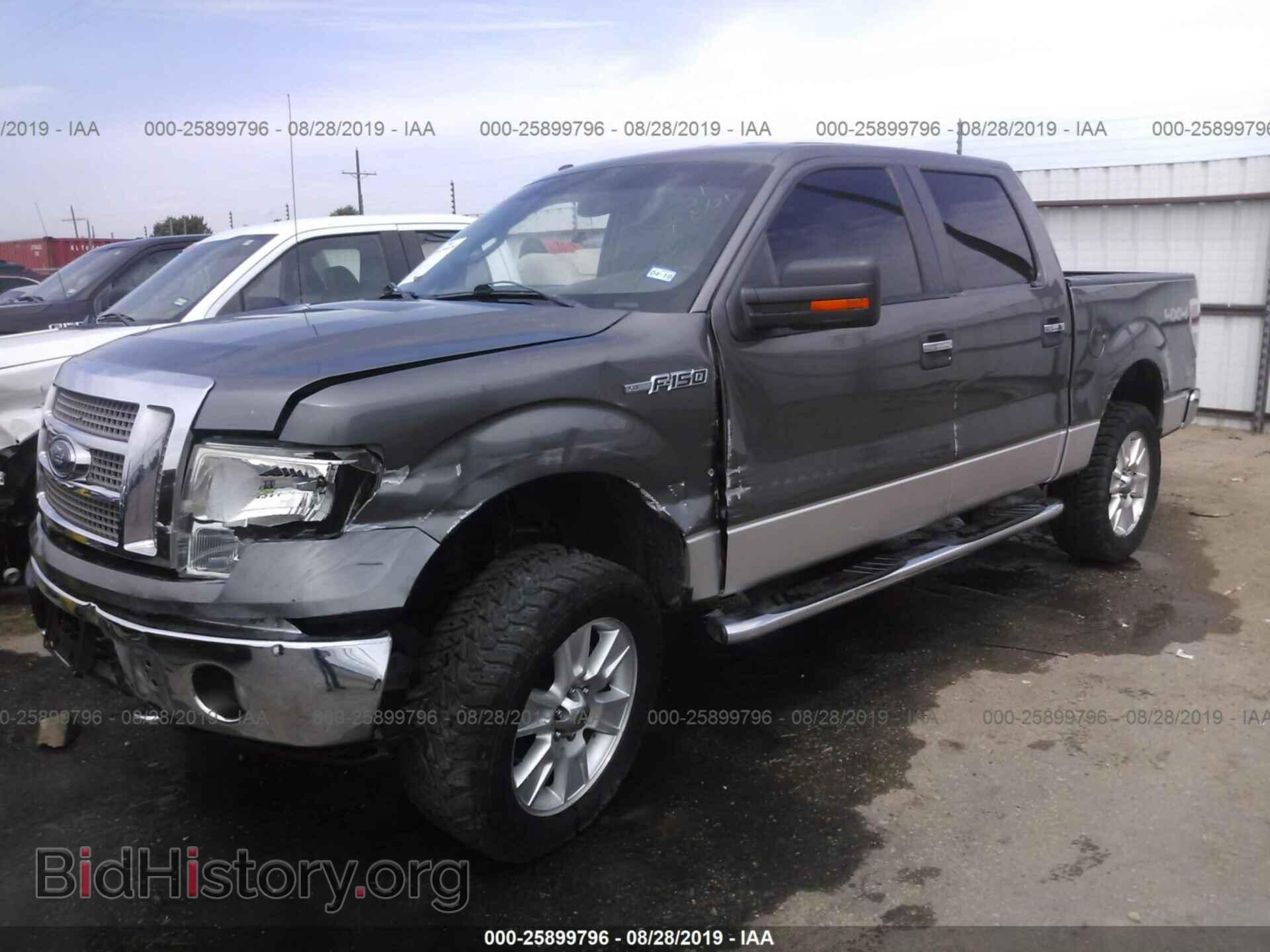 2012 FORD F150 - VIN: 1FTFW1EF4CKE33065 - Фото 2