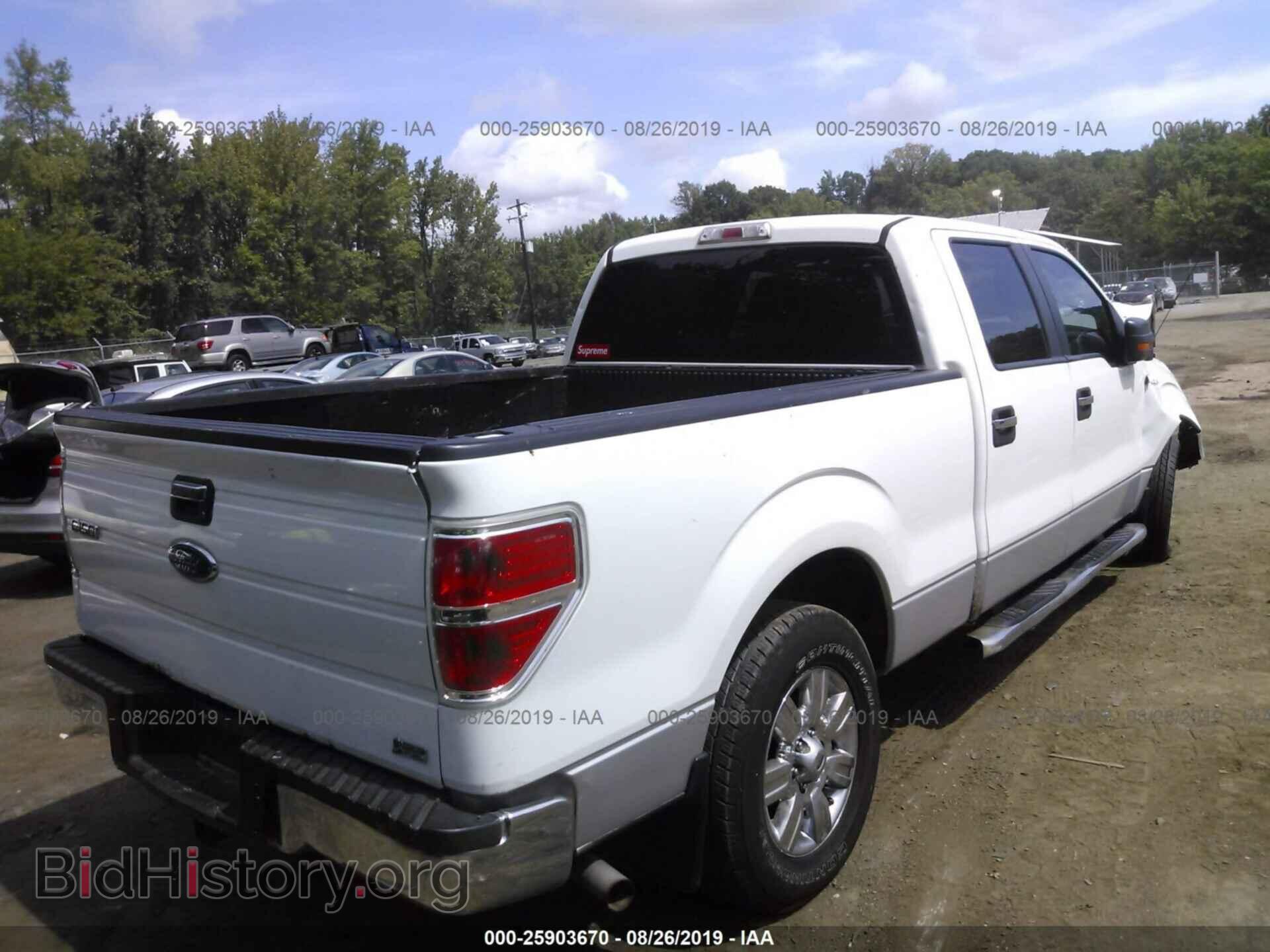 2010 FORD F150 - VIN: 1FTFW1EV7AFD45821 - Фото 4