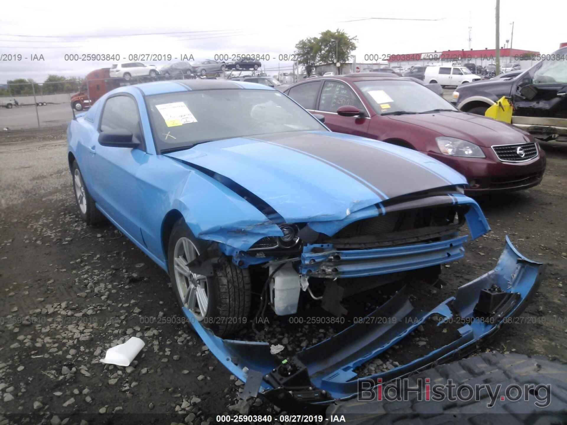 Photo 1ZVBP8AM1D5250714 - FORD MUSTANG 2013