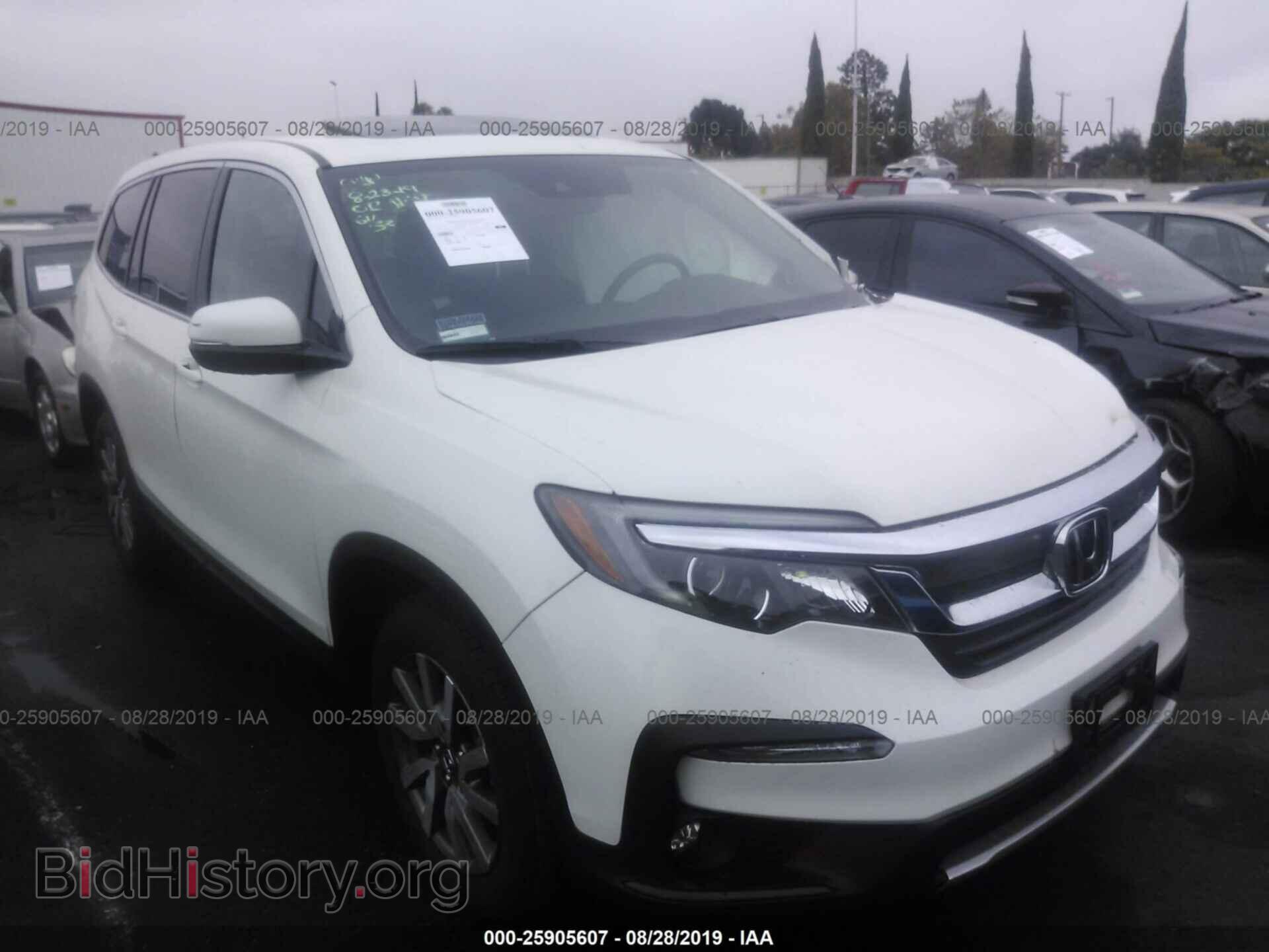 Фотография 5FNYF5H45KB007794 - HONDA PILOT 2019