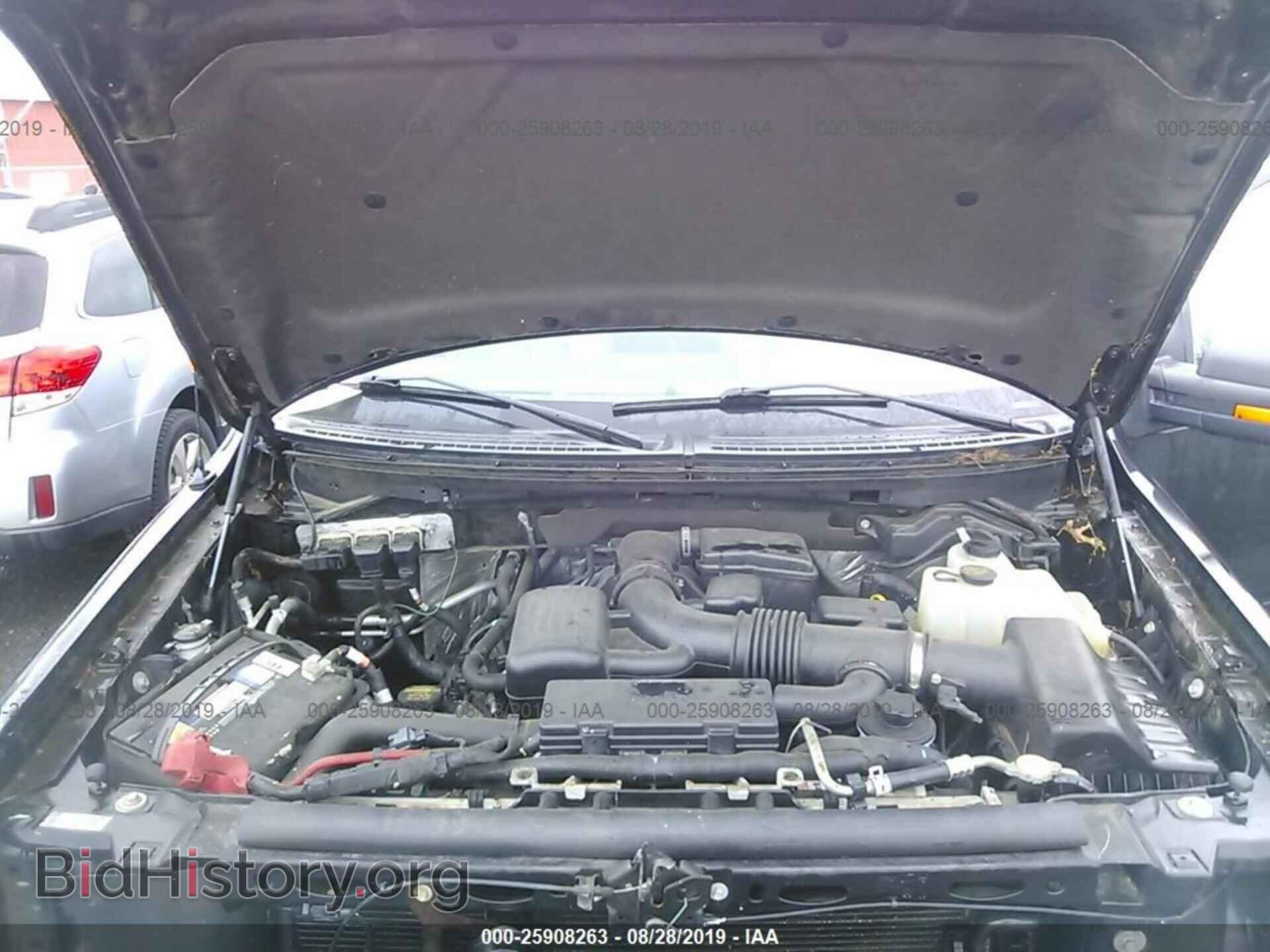 2010 FORD F150 - VIN: 1FTFX1EV8AFA84390 - Фото 10
