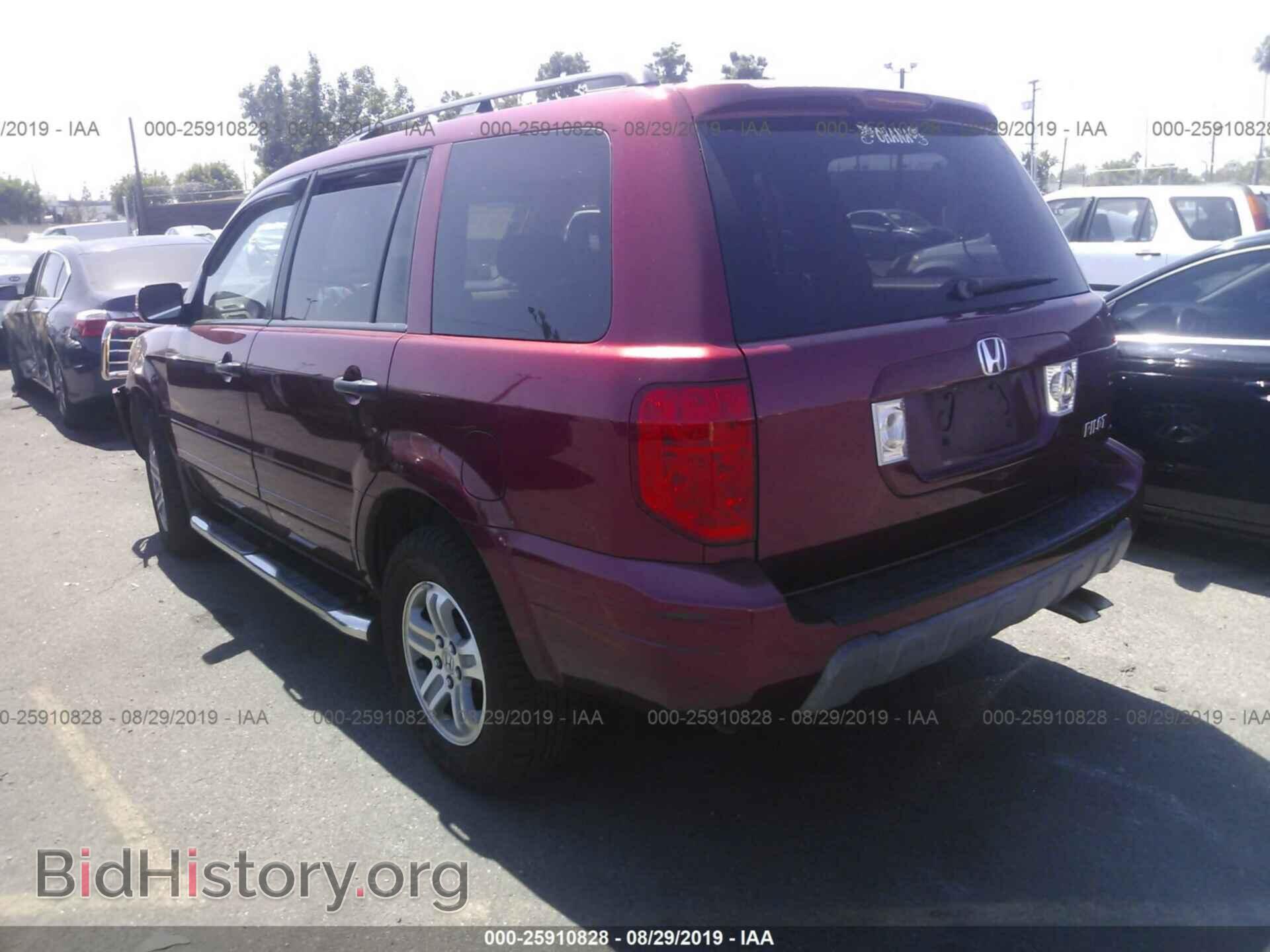 2005 HONDA PILOT - VIN: 2HKYF18545H548178 - Фото 3