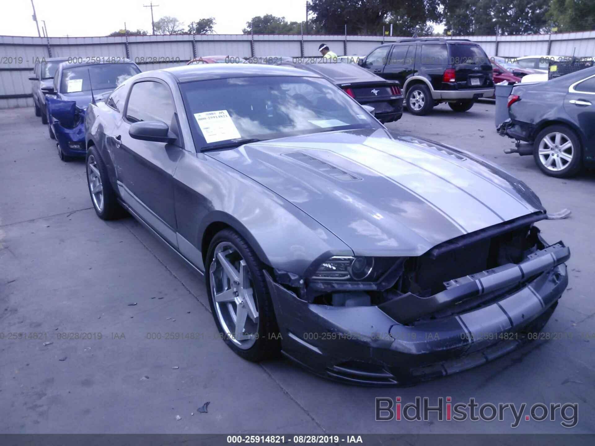Photo 1ZVBP8CFXD5279255 - FORD MUSTANG 2013