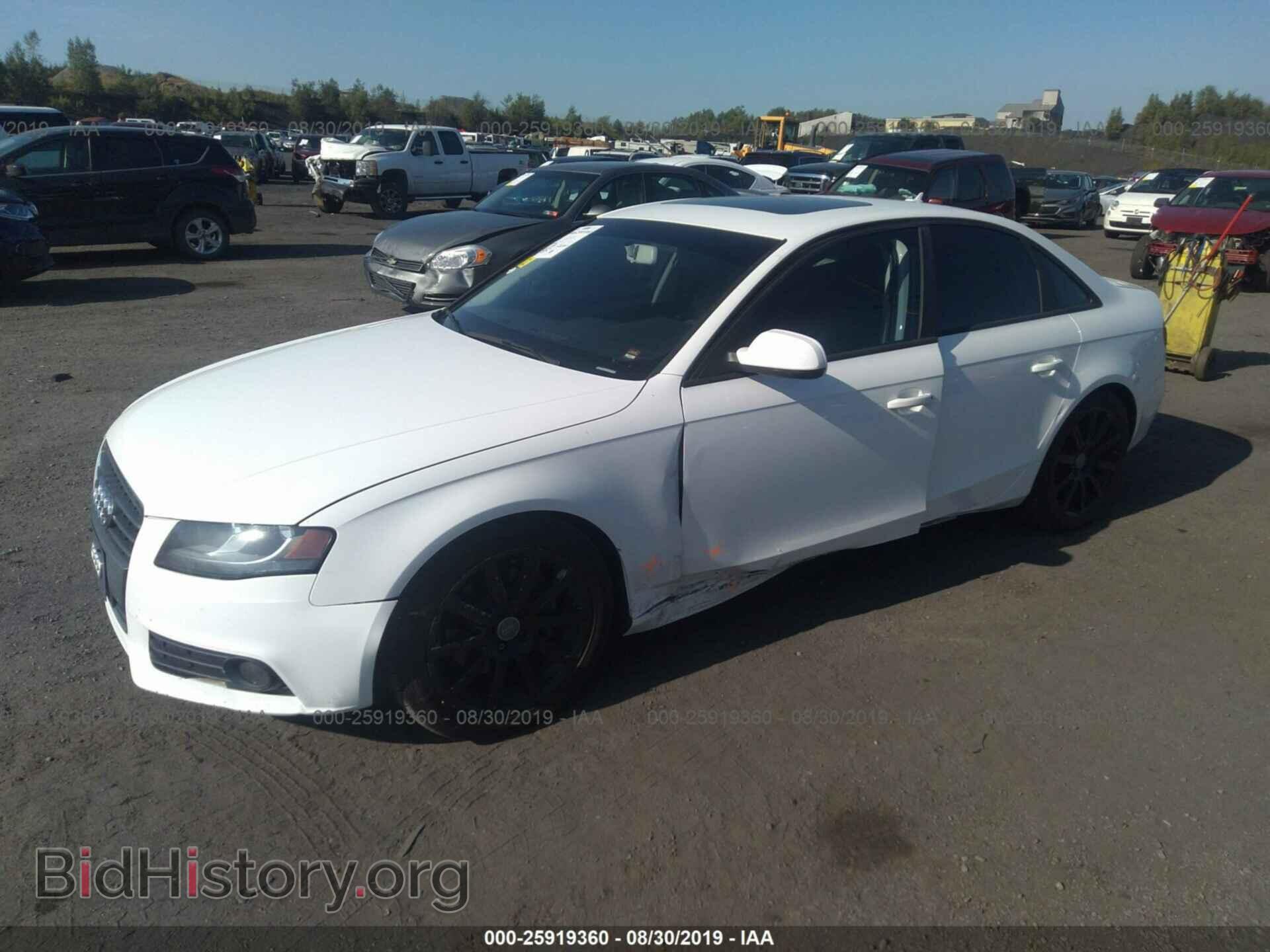 2011 AUDI A4 - VIN: WAUAFAFLXBN031544 - Photo 2
