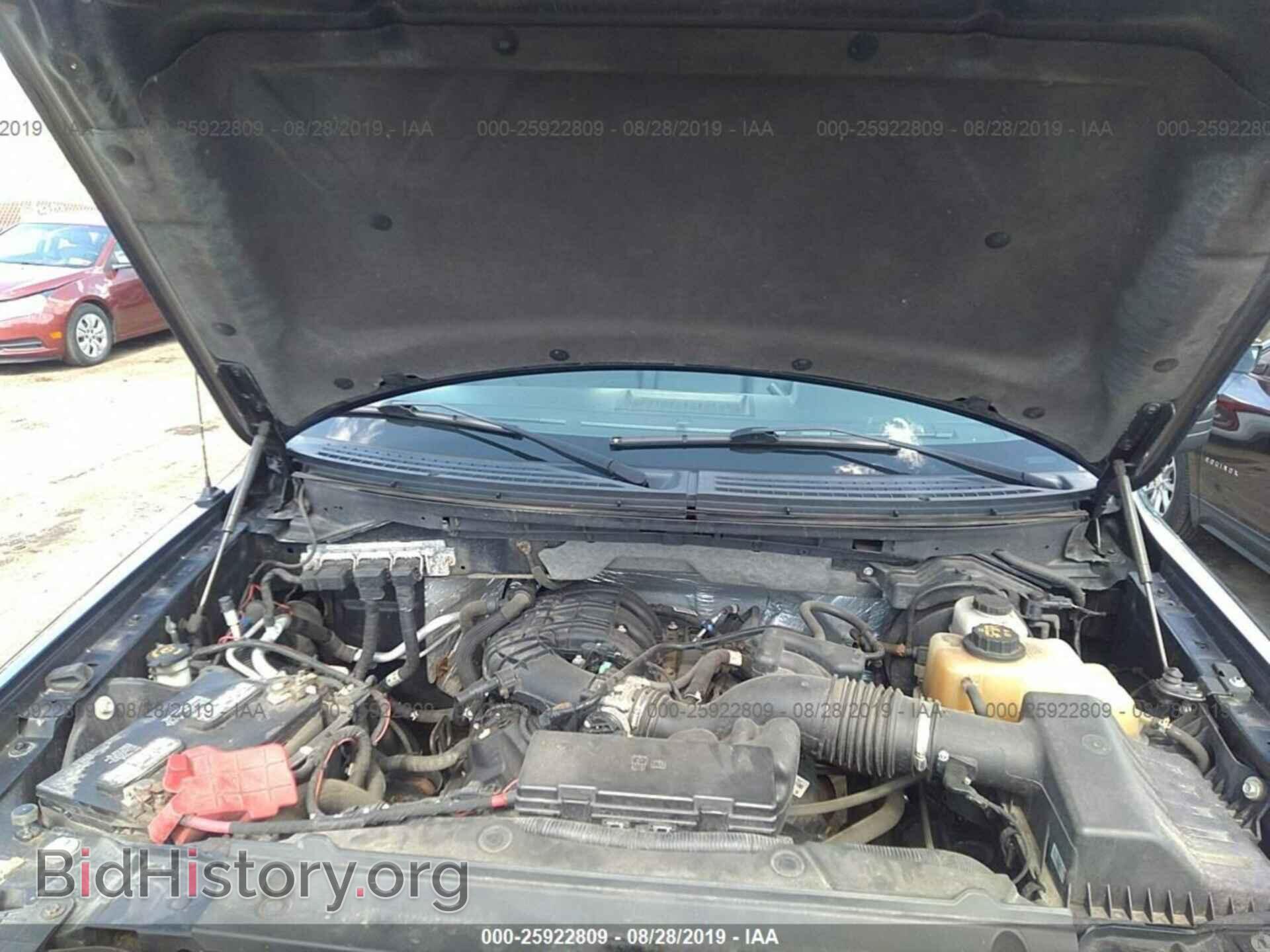 2013 FORD F150 - VIN: 1FTMF1EM5DFB04357 - Фото 10