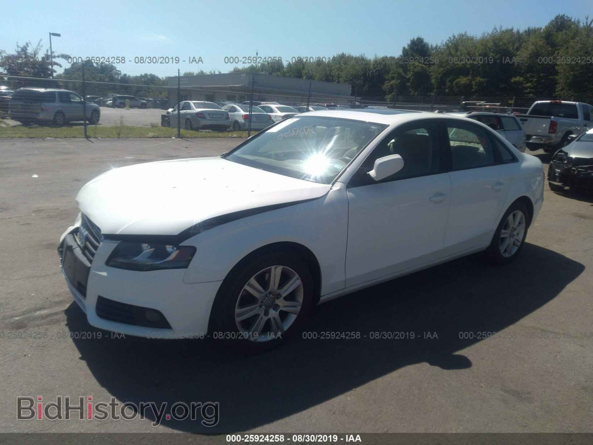 2010 AUDI A4 - VIN: WAUBFAFL4AN002270 - Фото 2